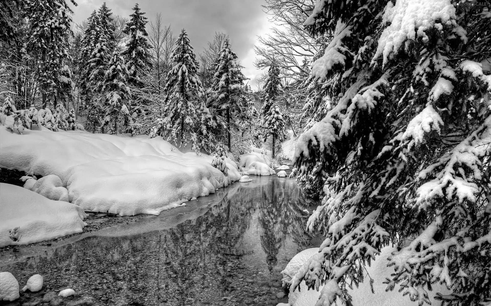 River, winter, forest