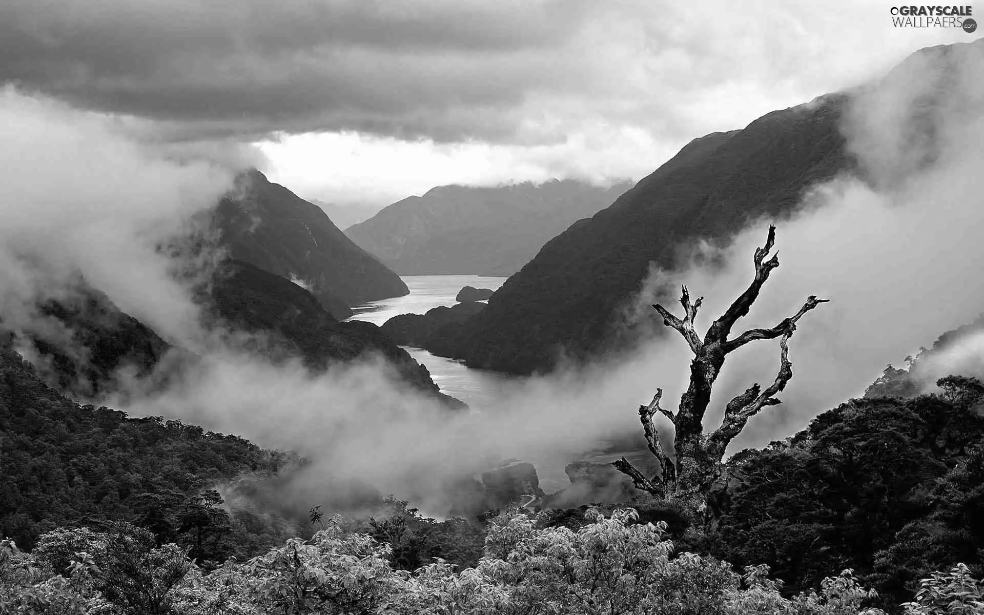 River, Mountains, water, forest, Steam