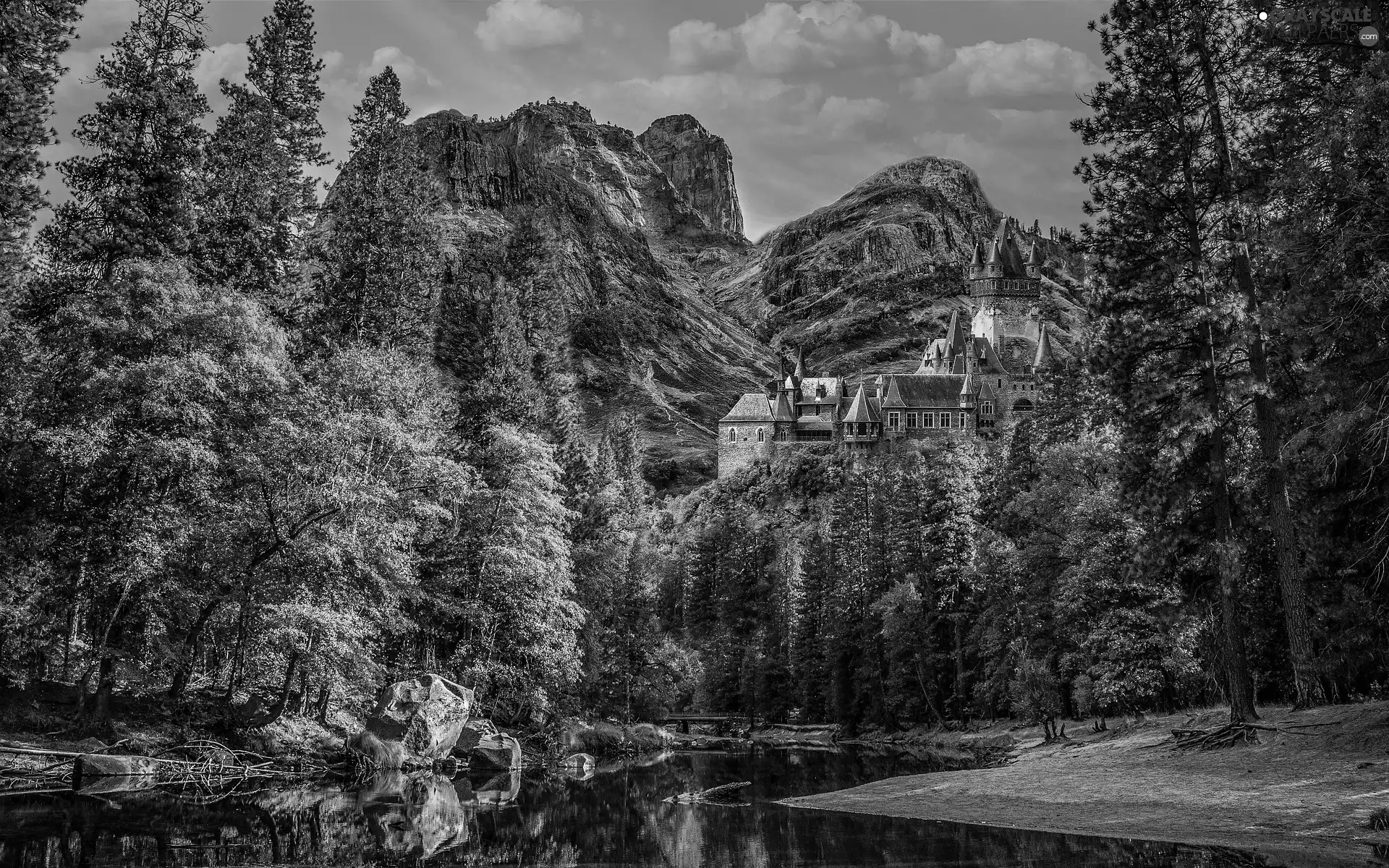 forest, Castle, viewes, River, trees, Mountains