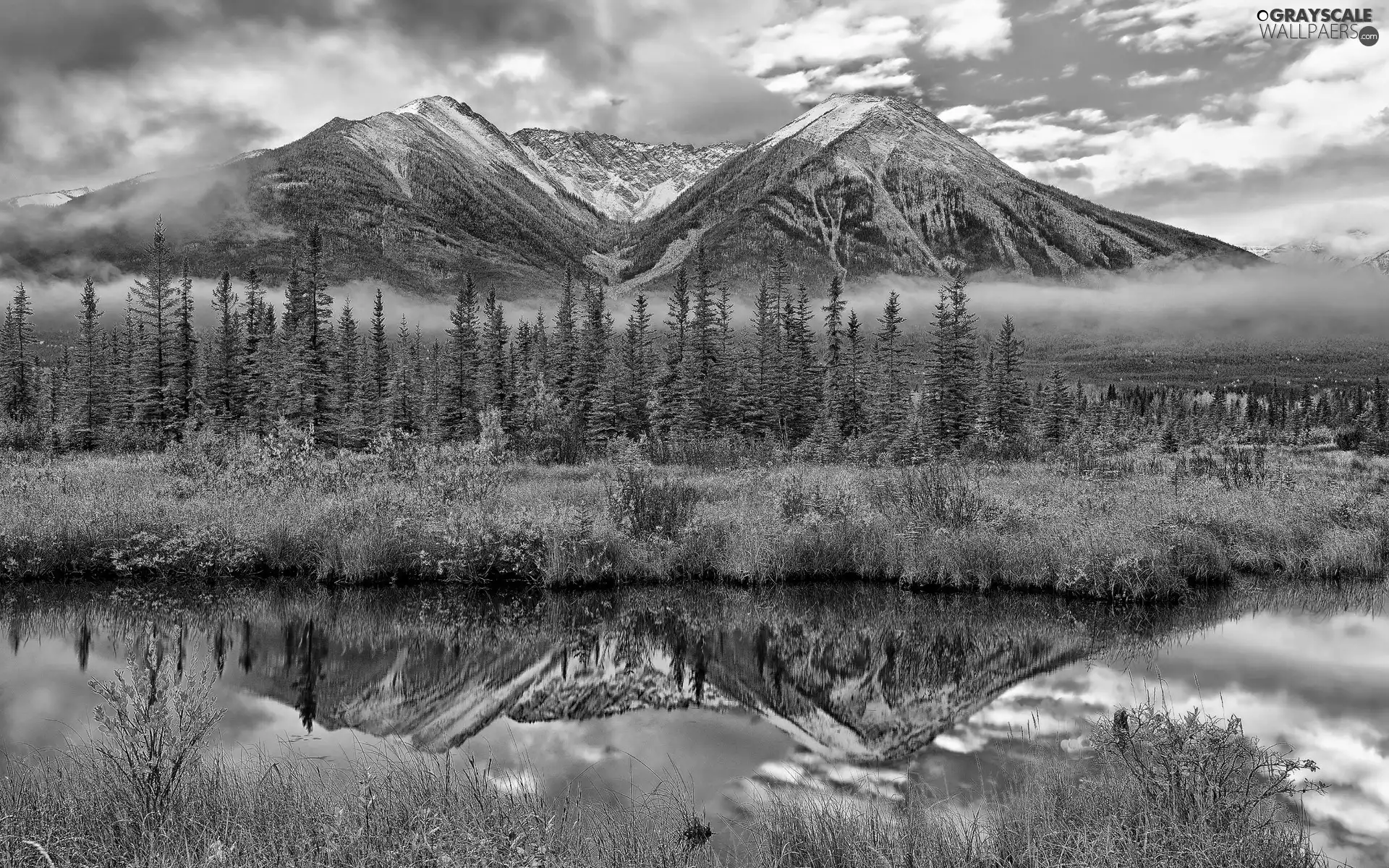 Mountains, viewes, River, trees