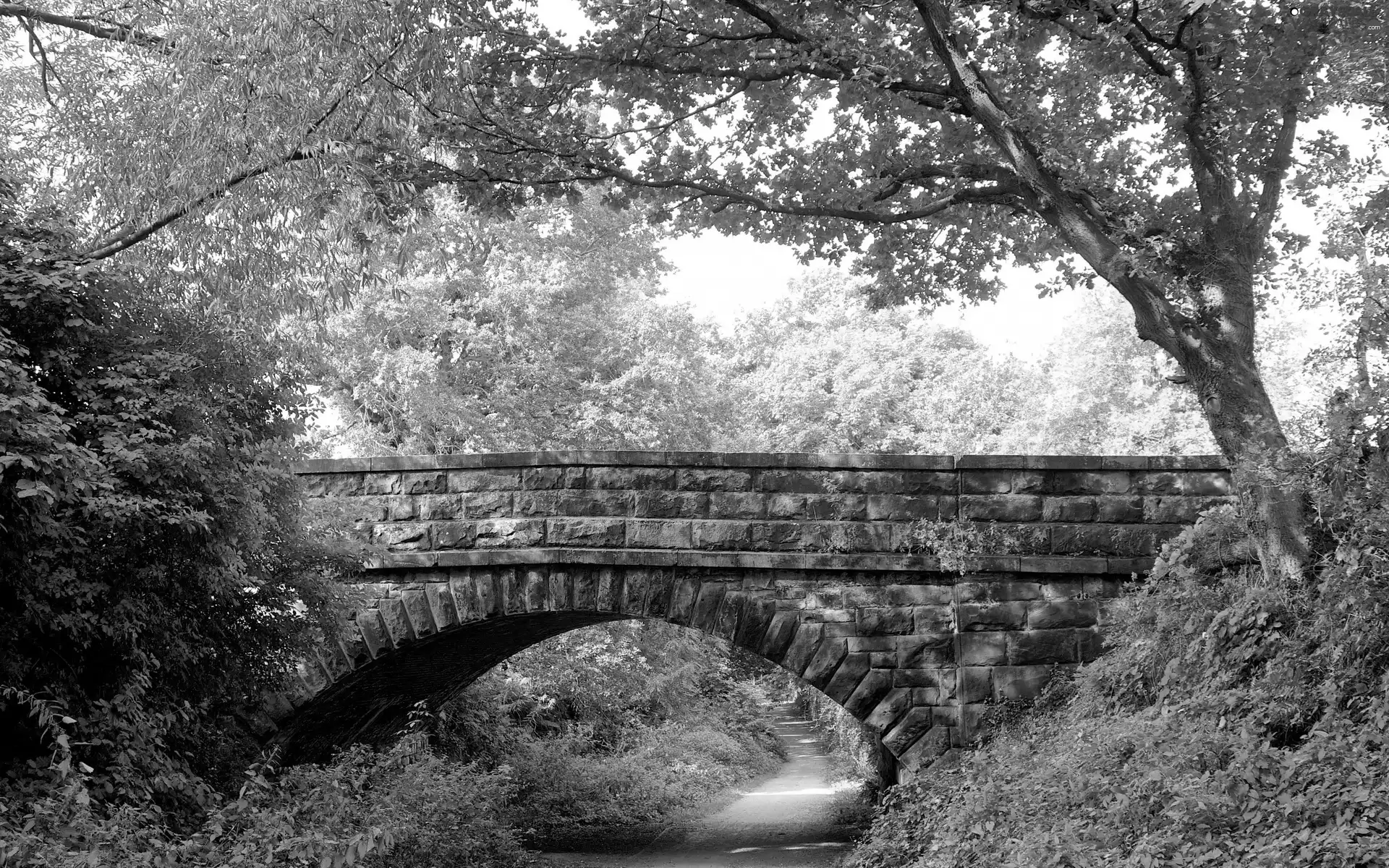 River, bridges, Park