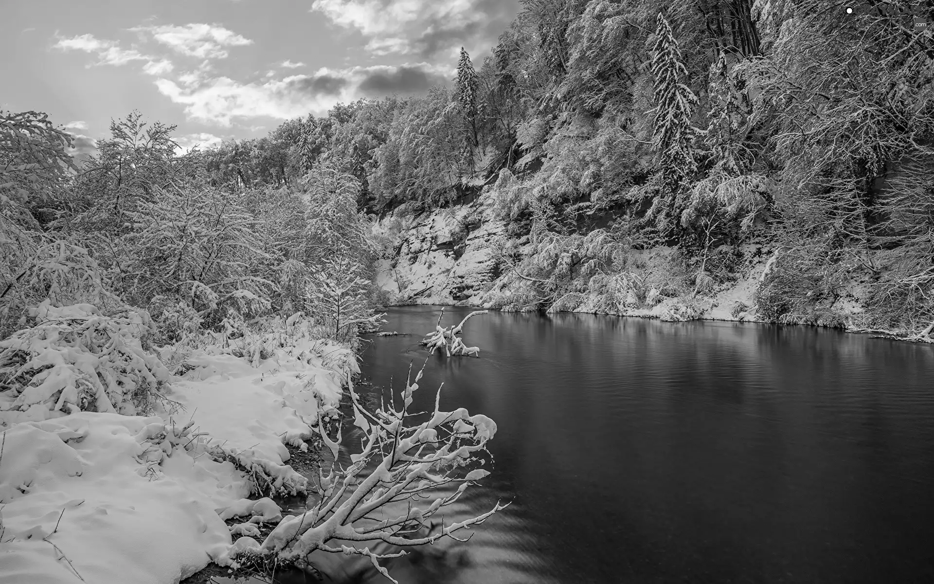 River, winter, forest, Snowy, Bush, clouds, viewes, branch pics, trees