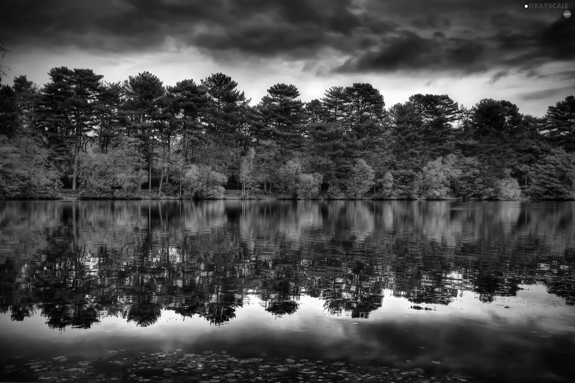 River, reflection, trees, viewes, clouds