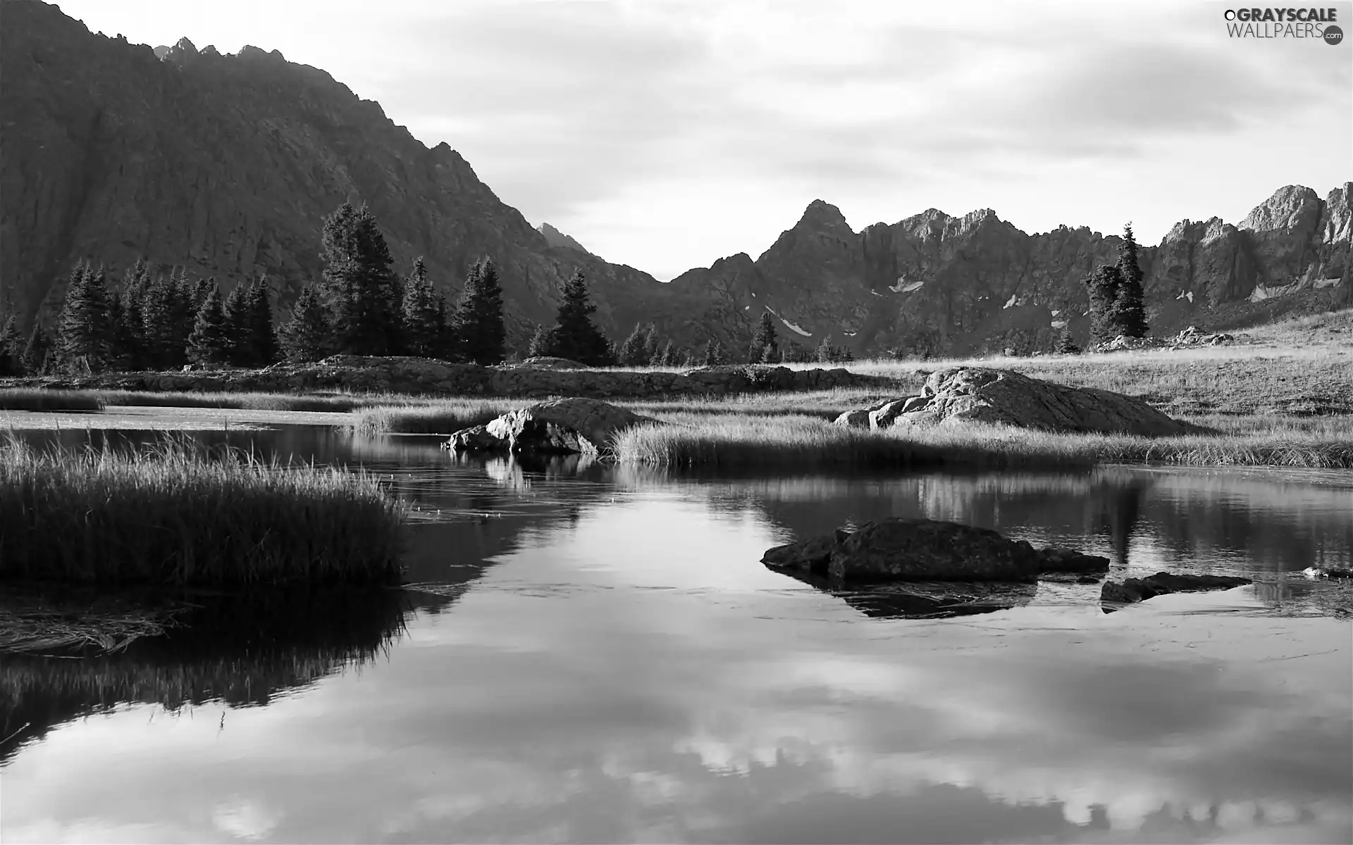 forest, dawn, River, reflection, Meadow, Mountains