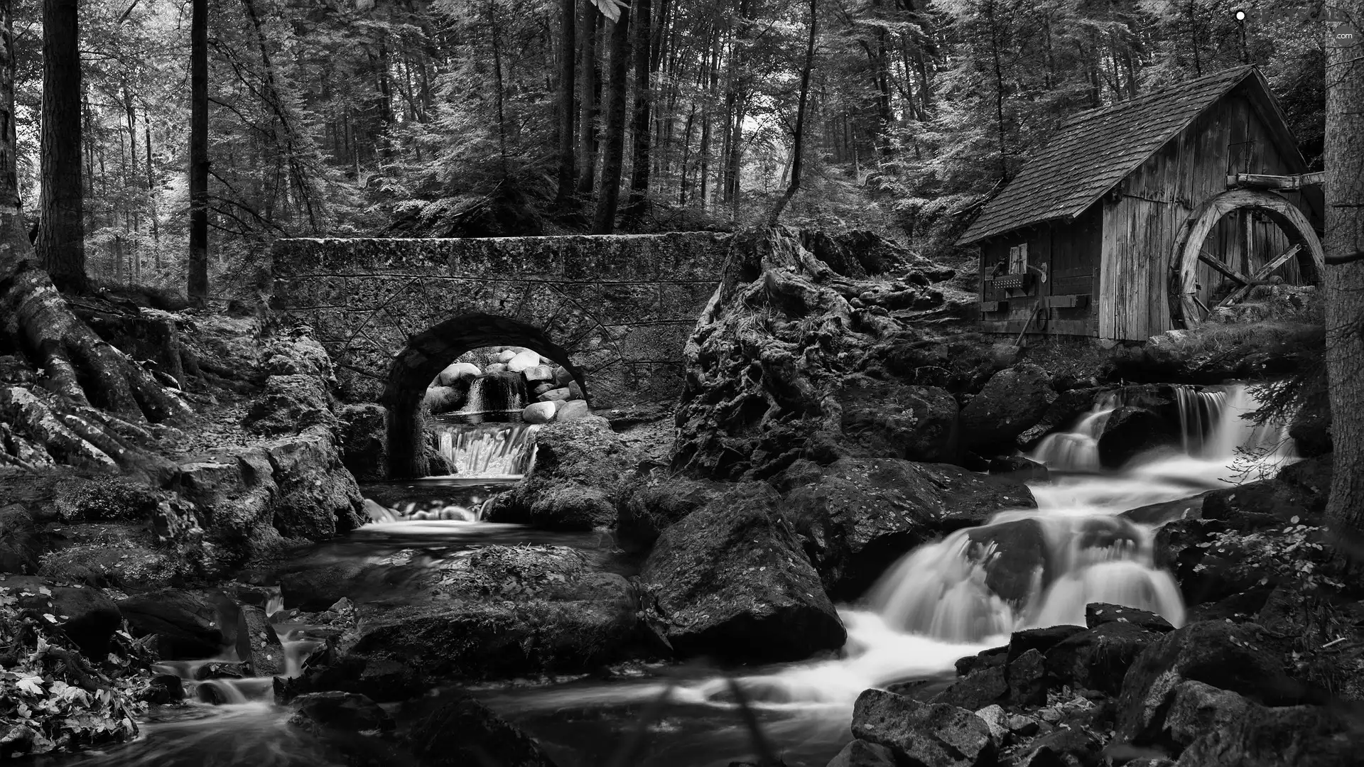 forest, stone, rocks, bridge, Windmill, viewes, trees, River