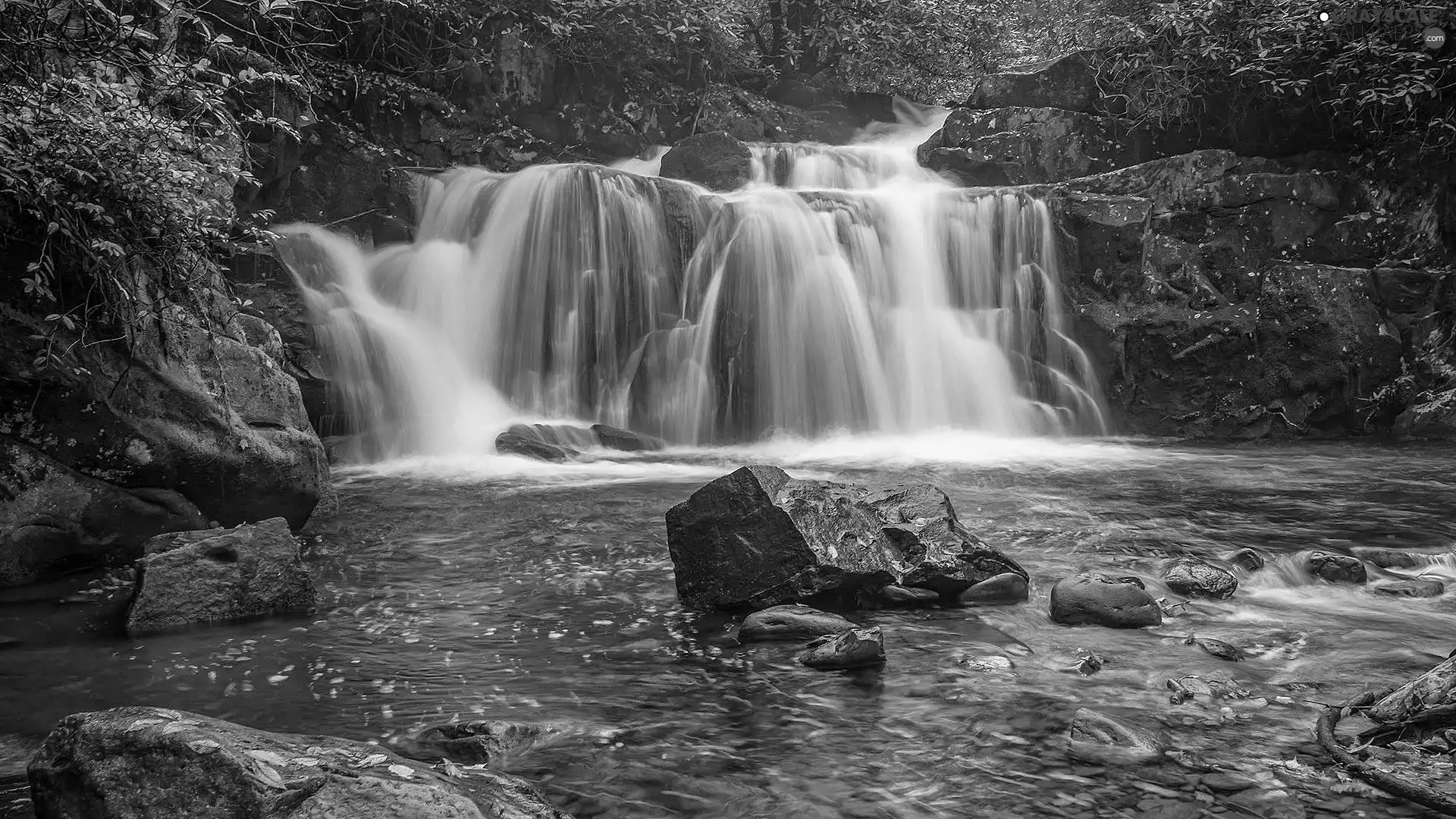 Stones, River, rocks, Plants, waterfall
