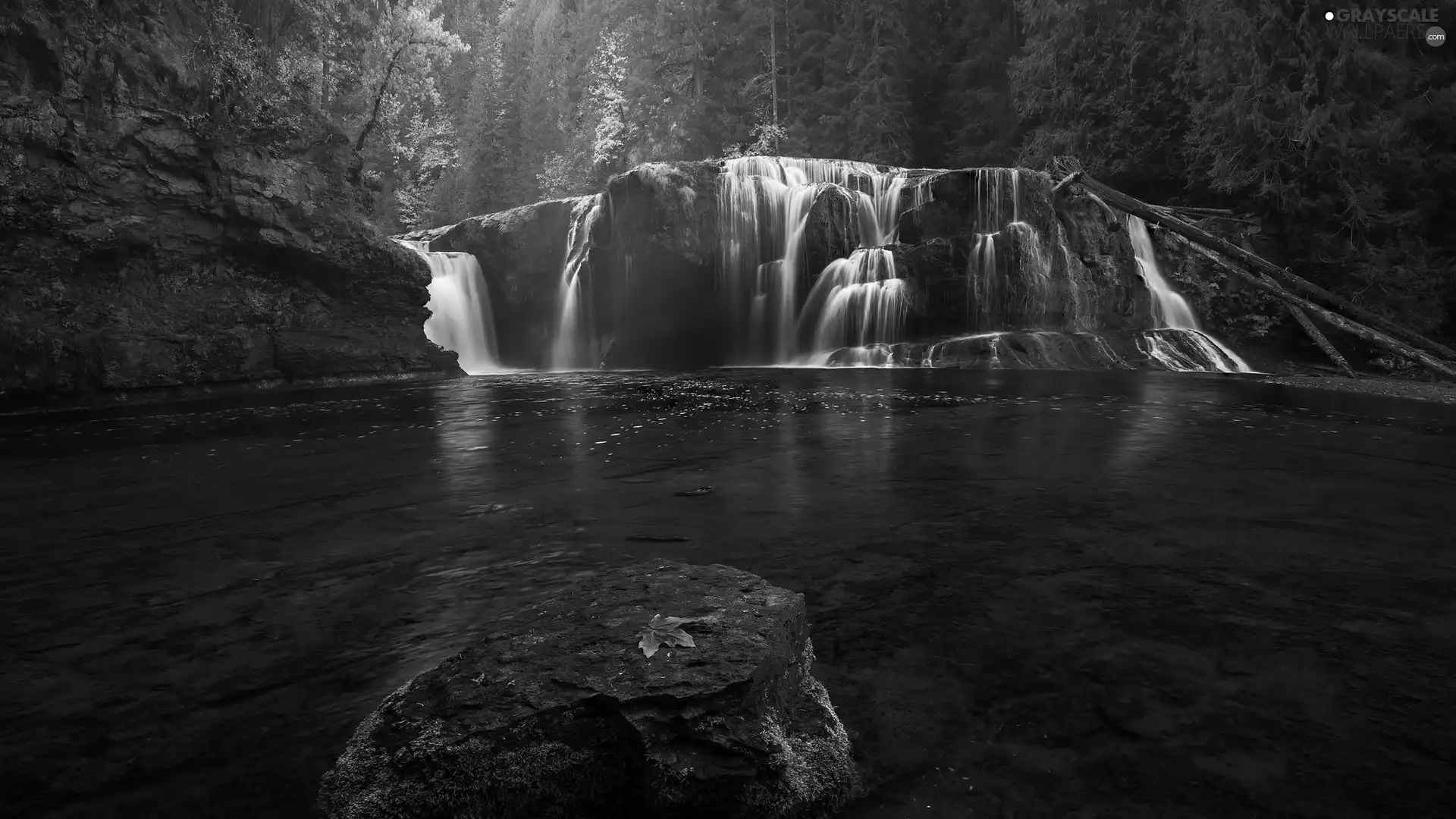 forest, leaf, The United States, Lower Lewis River Falls, Washington State, Stone, mossy, Cougar Settlement