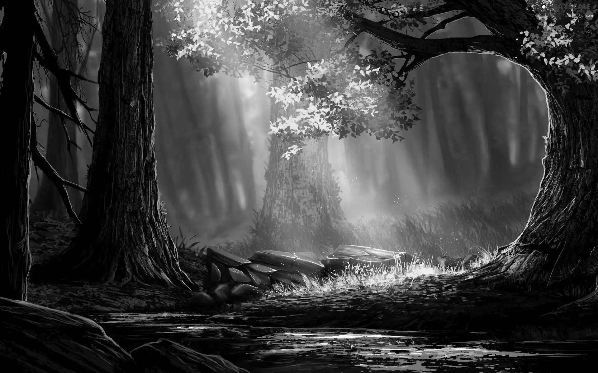 River, trees, light breaking through sky, viewes, forest, Stones, 2D