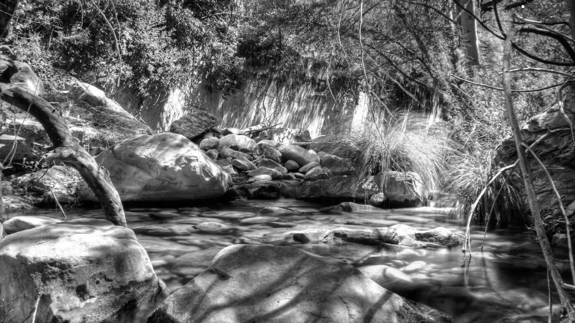 Stones, viewes, River, trees