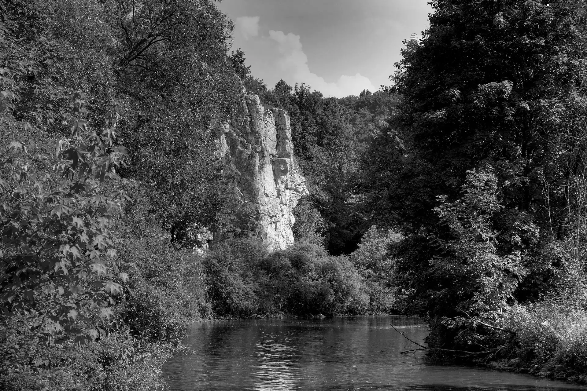 Mountains, Germany, River, summer, forest, Bavaria
