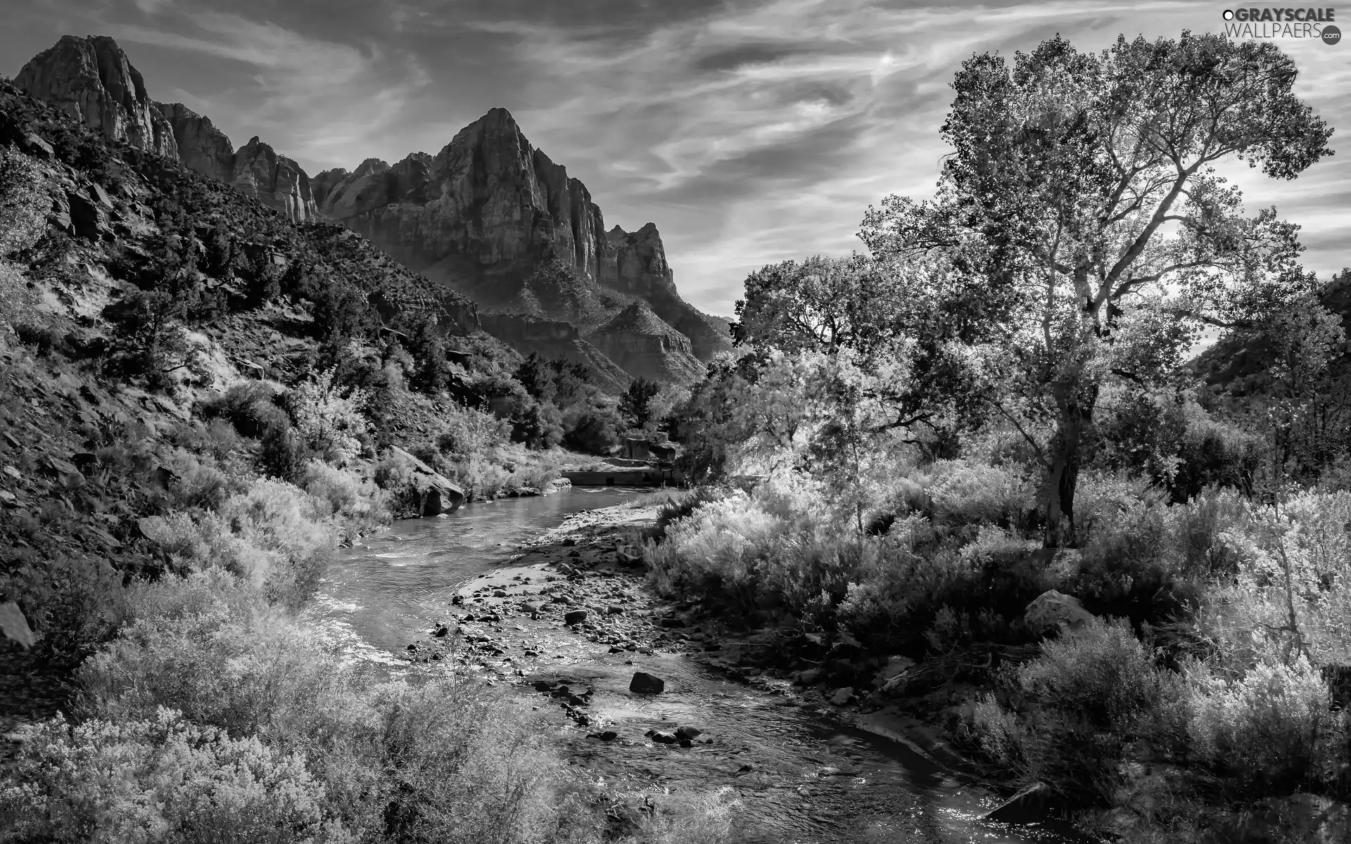 Zion National Park, Watchman Mountains, viewes, Virgin River, trees, Utah State, The United States, Stones
