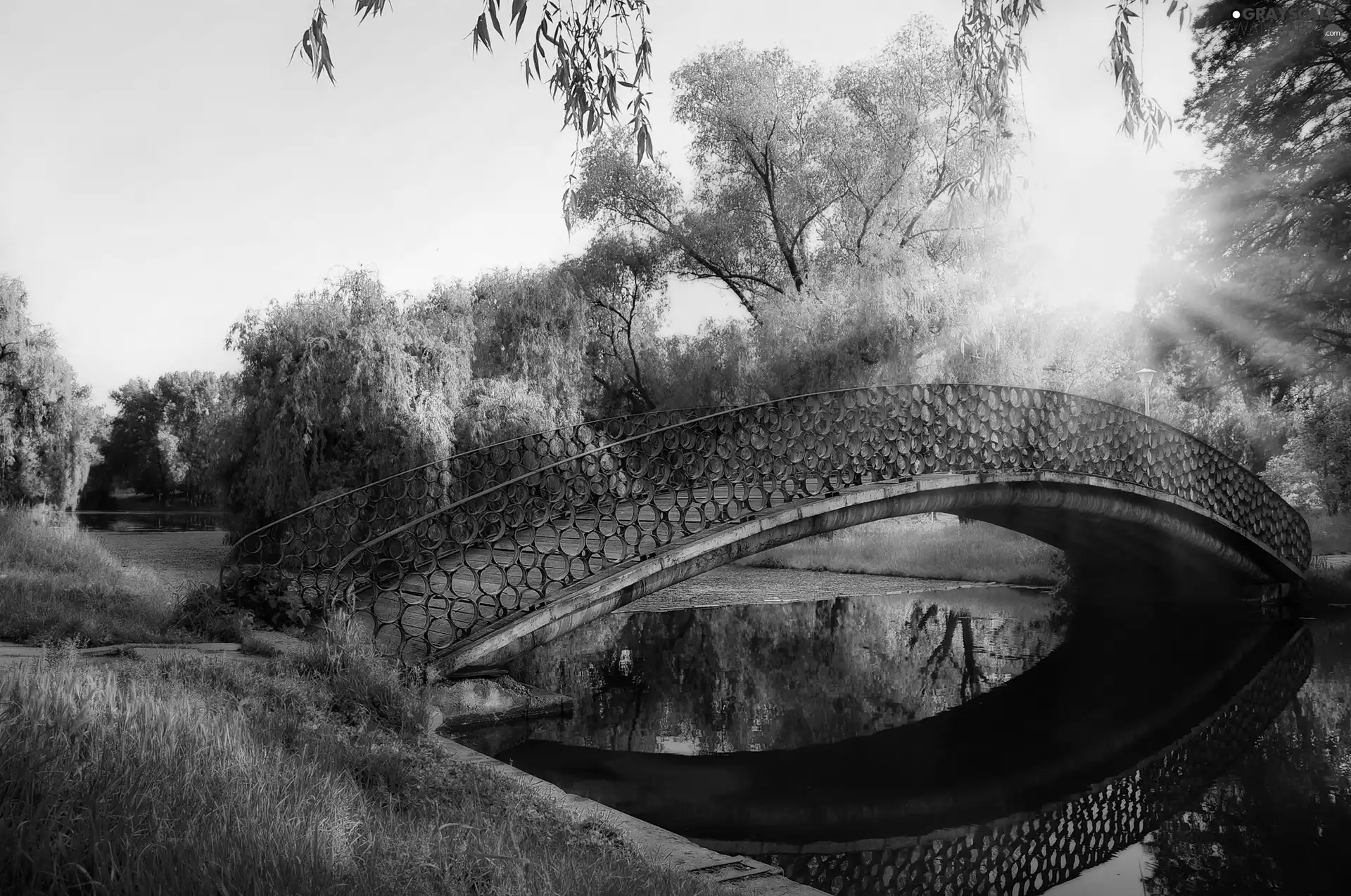 bridge, Park, viewes, rays of the Sun, trees, River