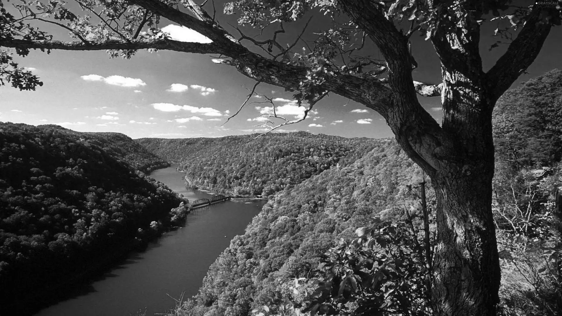 woods, Mountains, bridge, canyon, autumn, River, trees