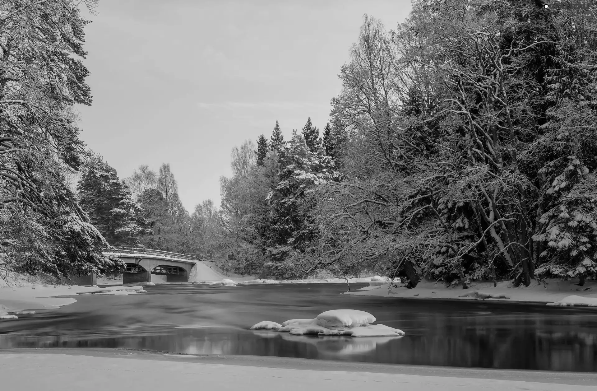 bridge, Park, trees, River, winter, Snowy, viewes