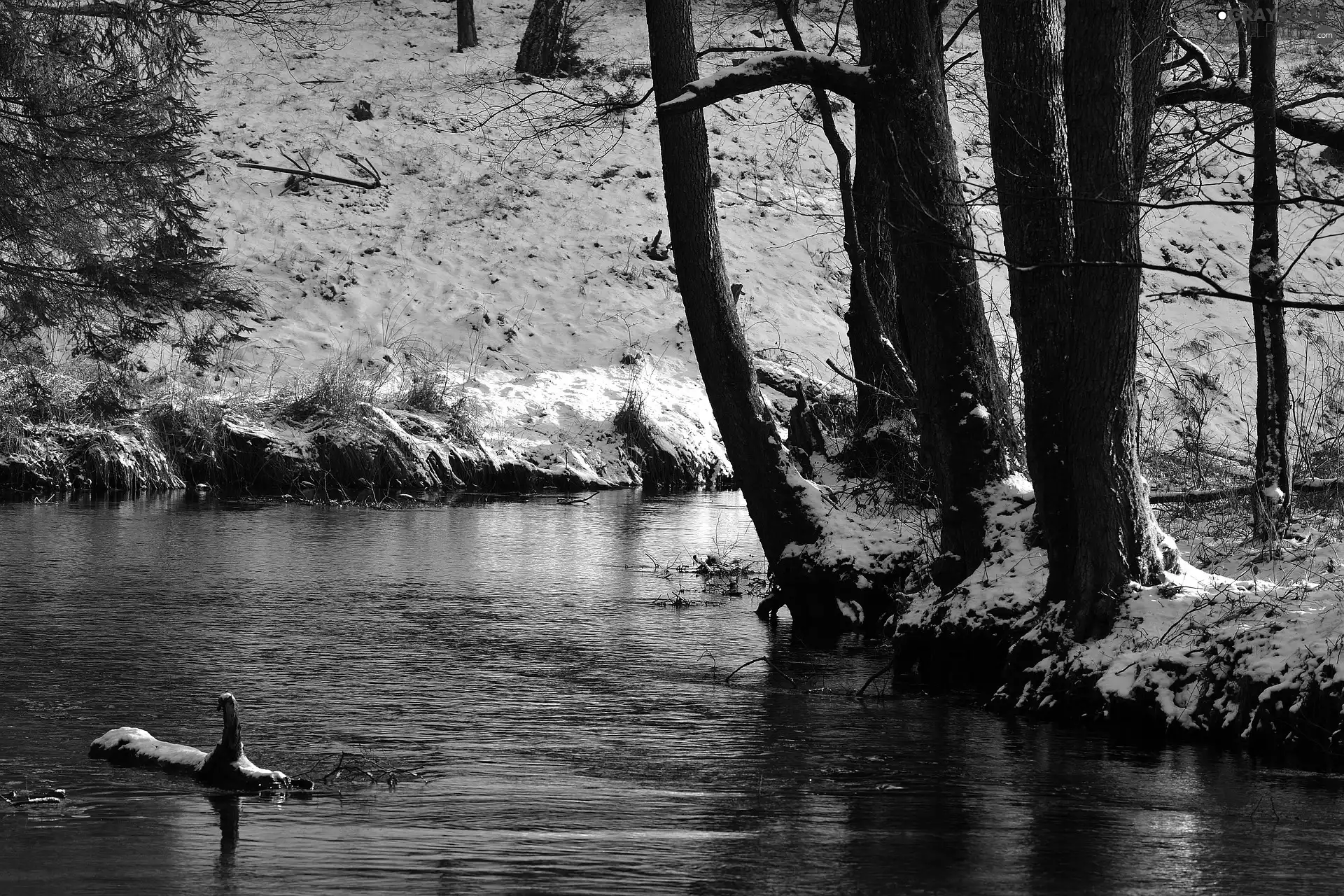 snow, River, trees, viewes, winter