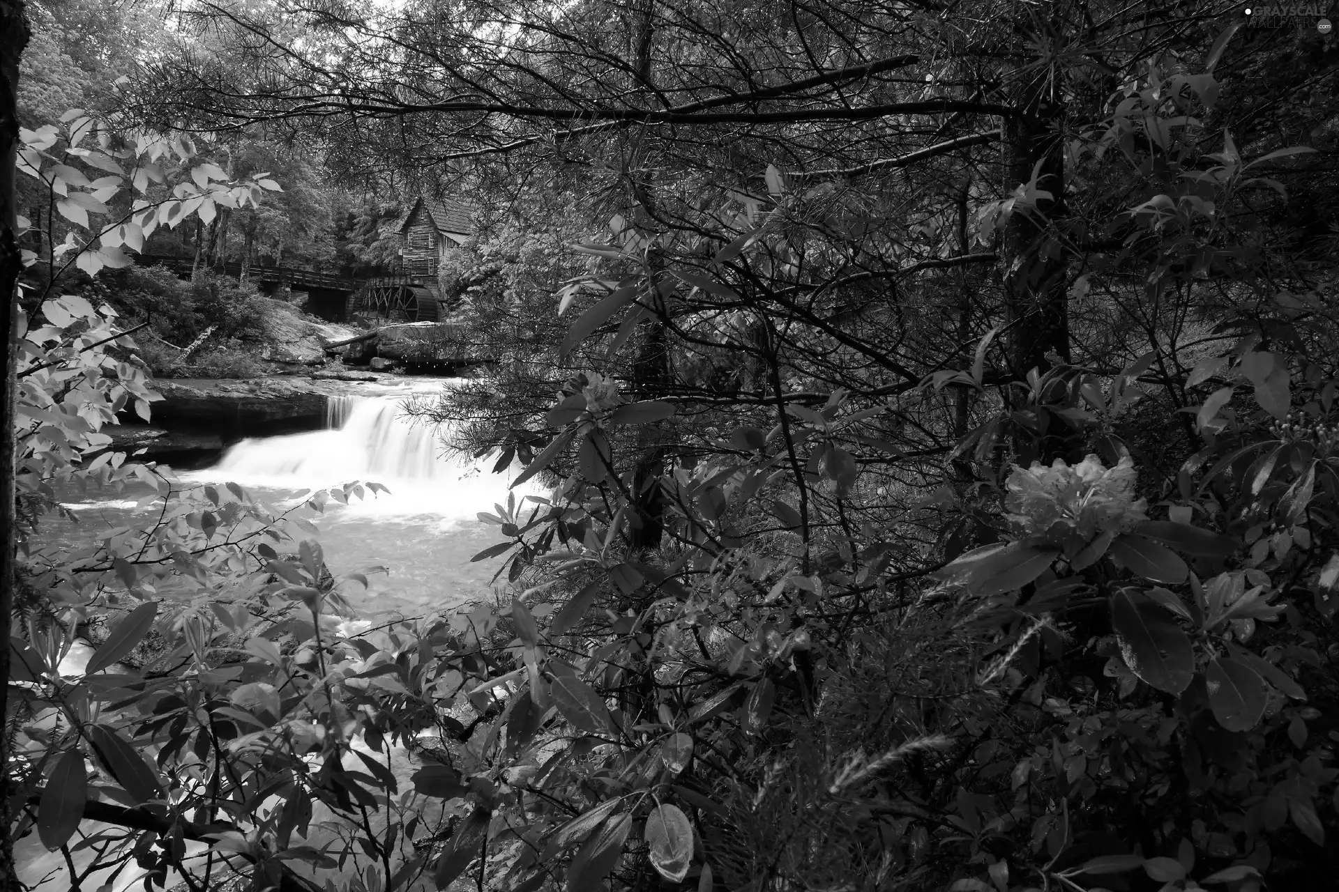River, vegetation, water, waterfall, Windmill