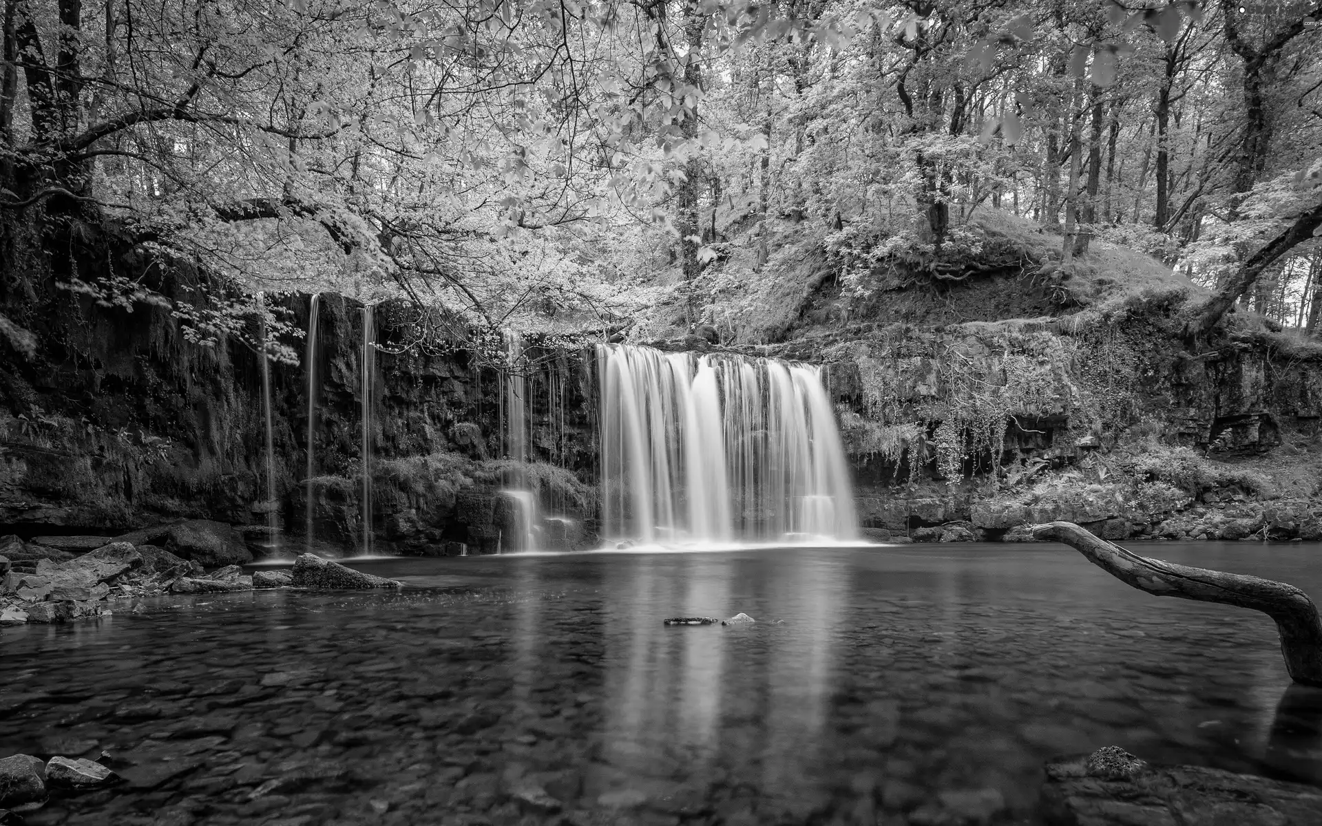 forest, Rocks, viewes, River, waterfall, trees, Stones