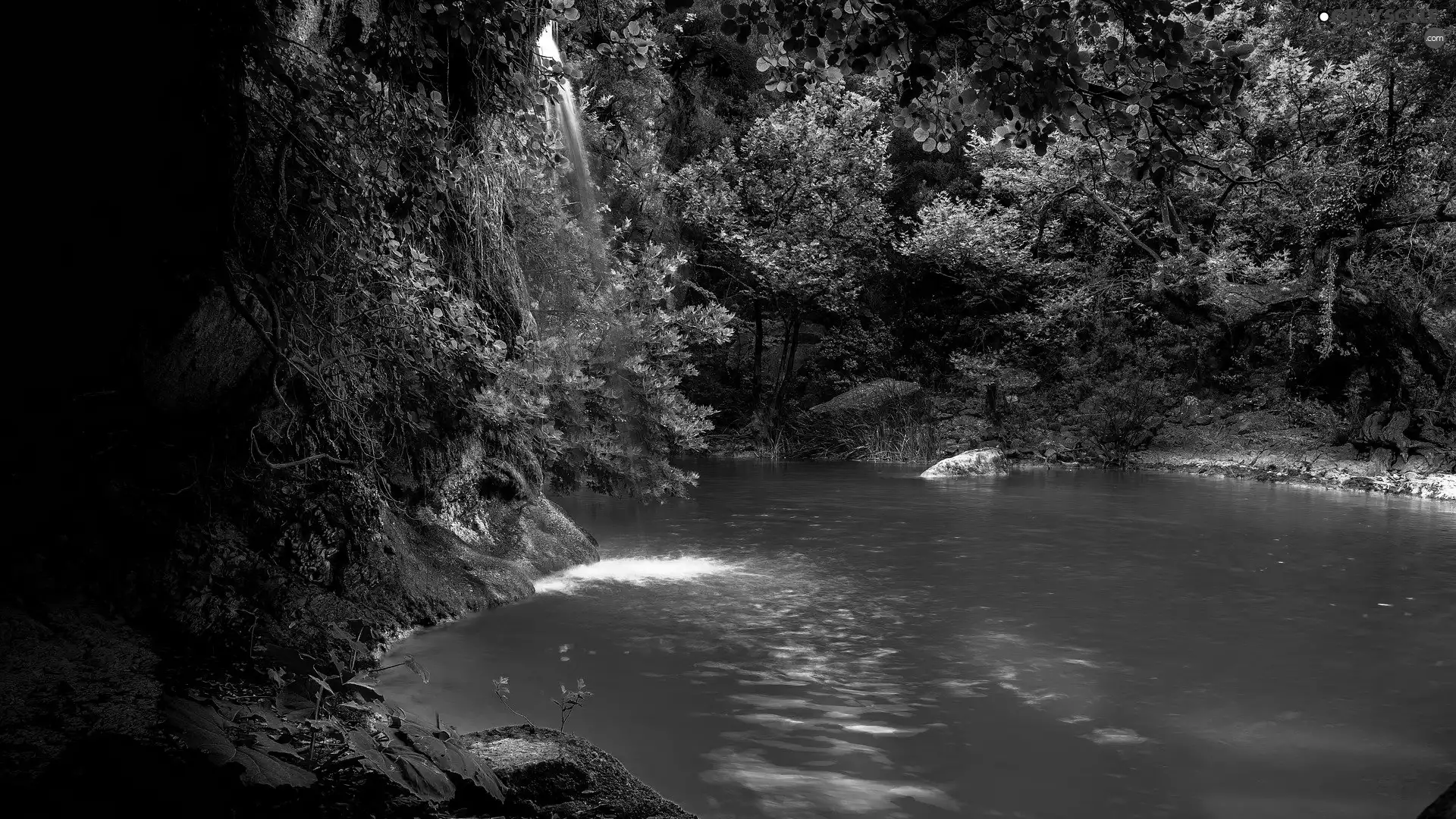 autumn, trees, waterfall, River, Rocks, viewes