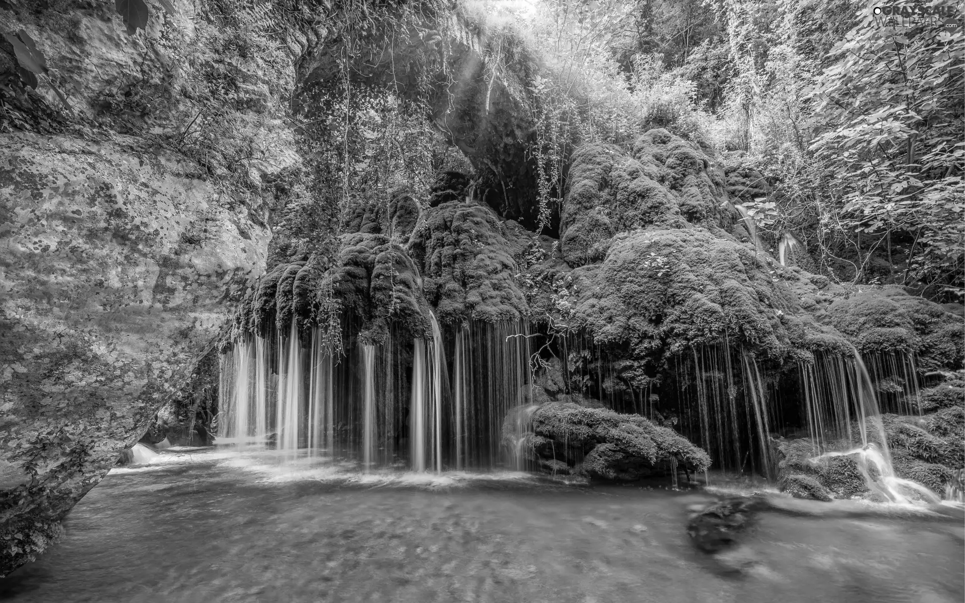 Plants, River, waterfall, rocks, forest
