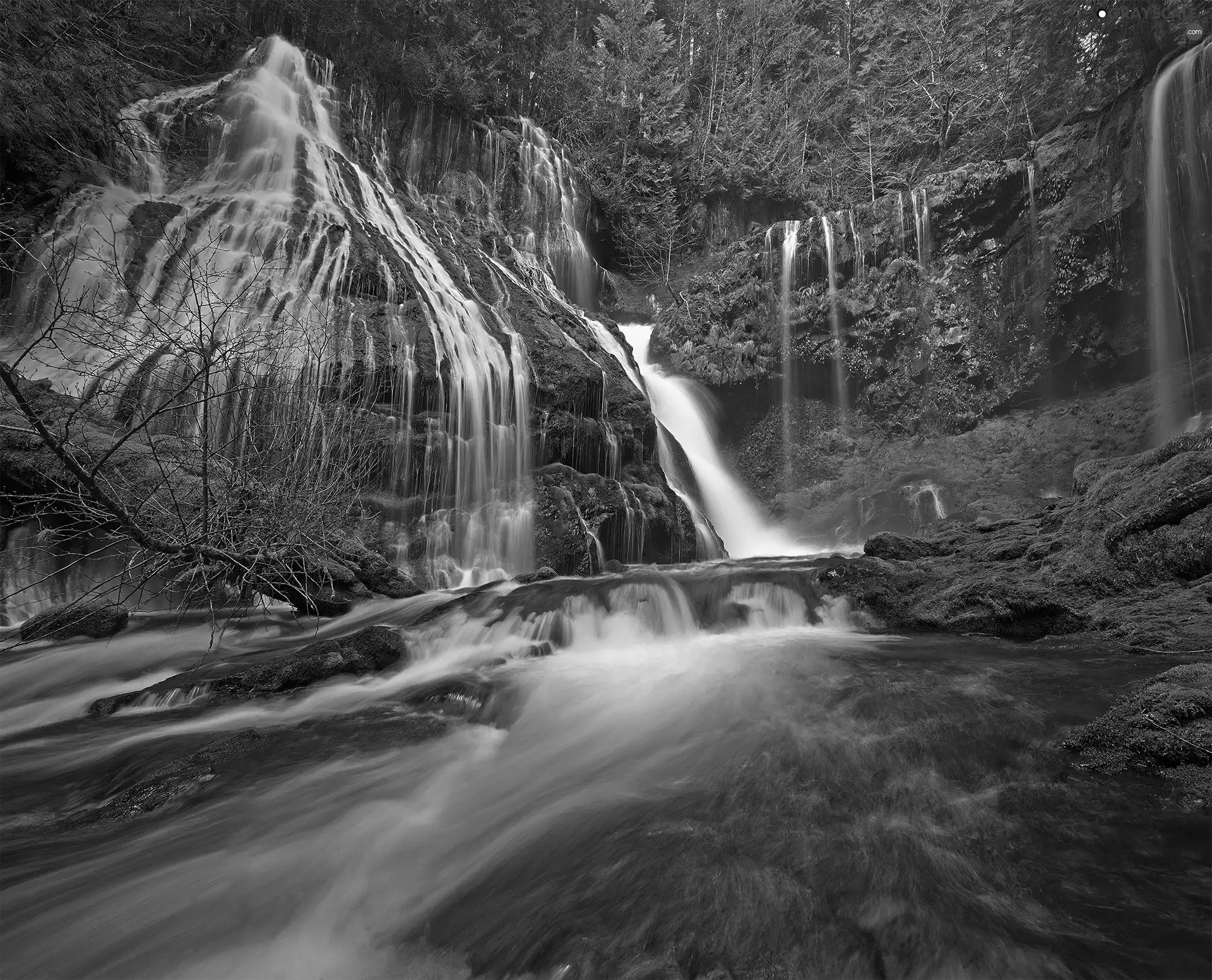 waterfall, forest, River, rocks