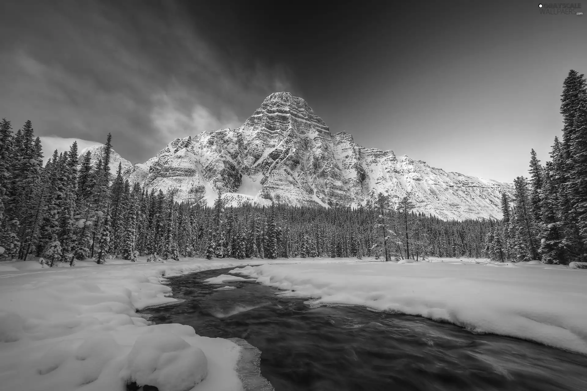 winter, forest, River, Mountains