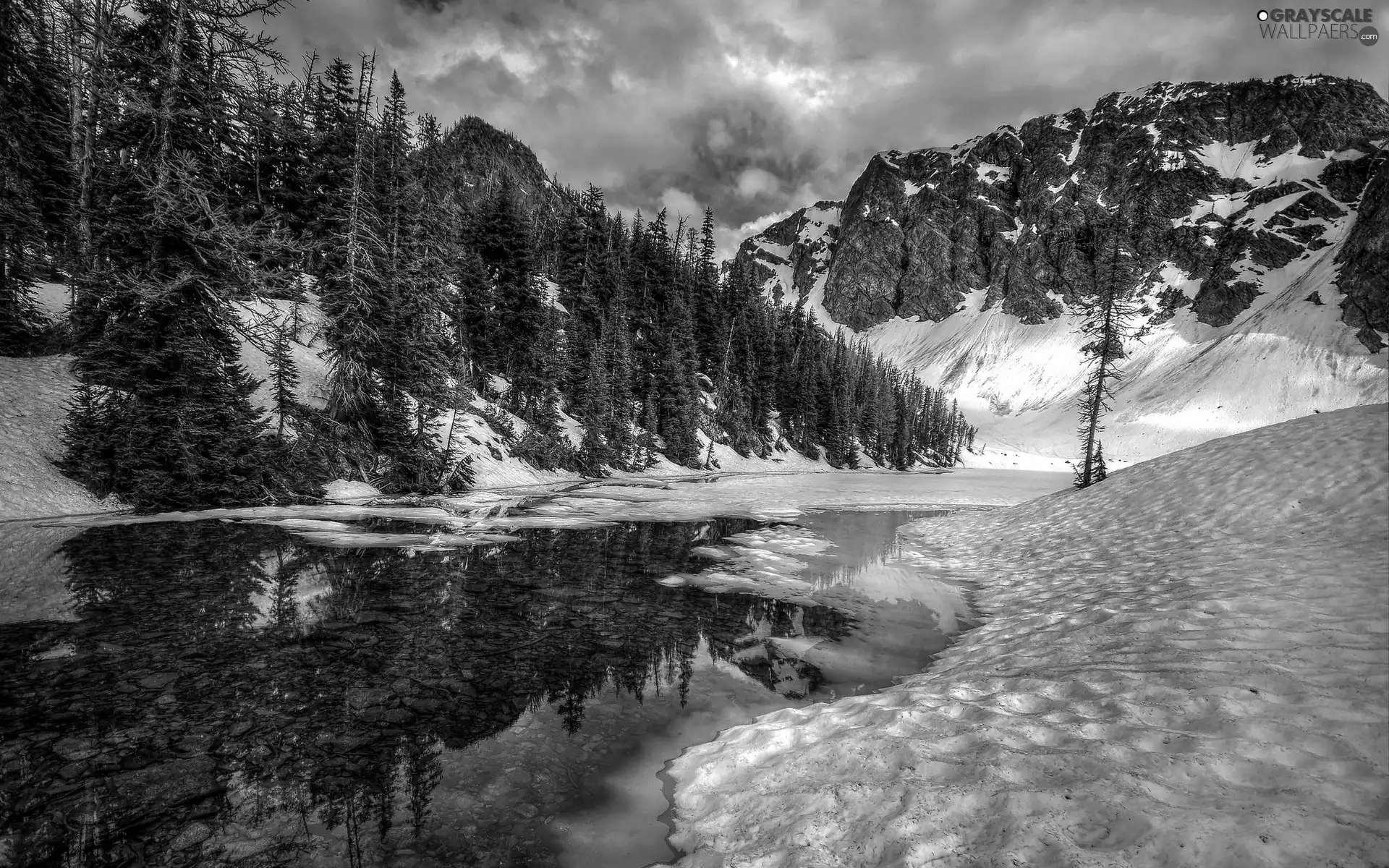 winter, forest, River, Mountains