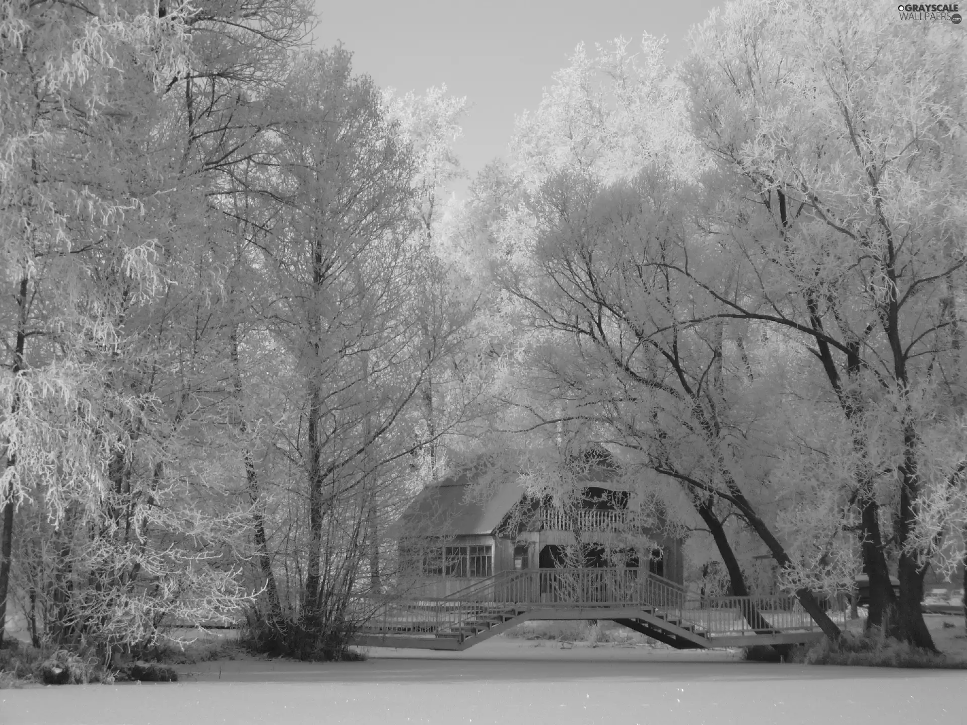 River, winter, house, bridge, Park