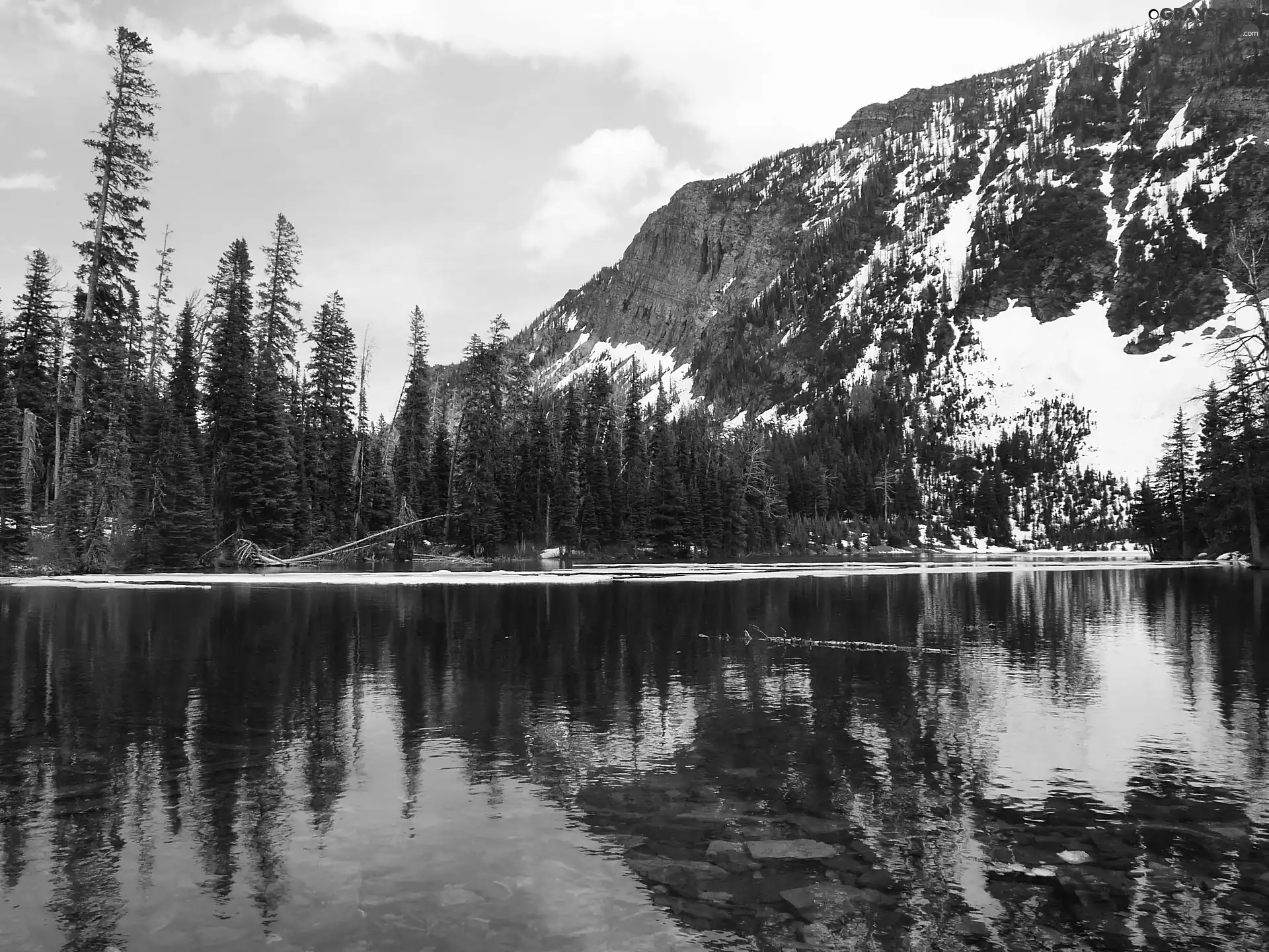 winter, woods, River, Mountains