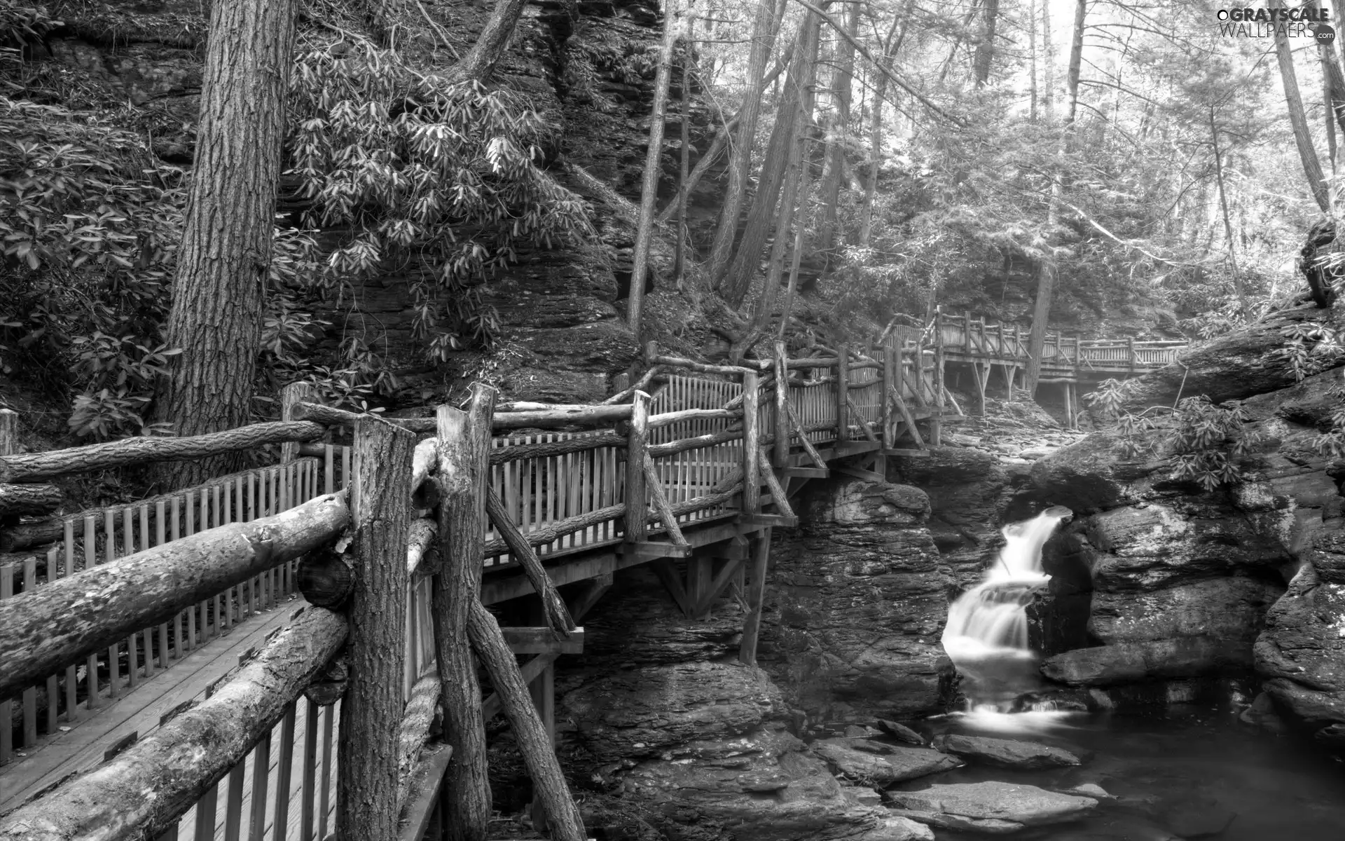 wooden, tear, River, bridge