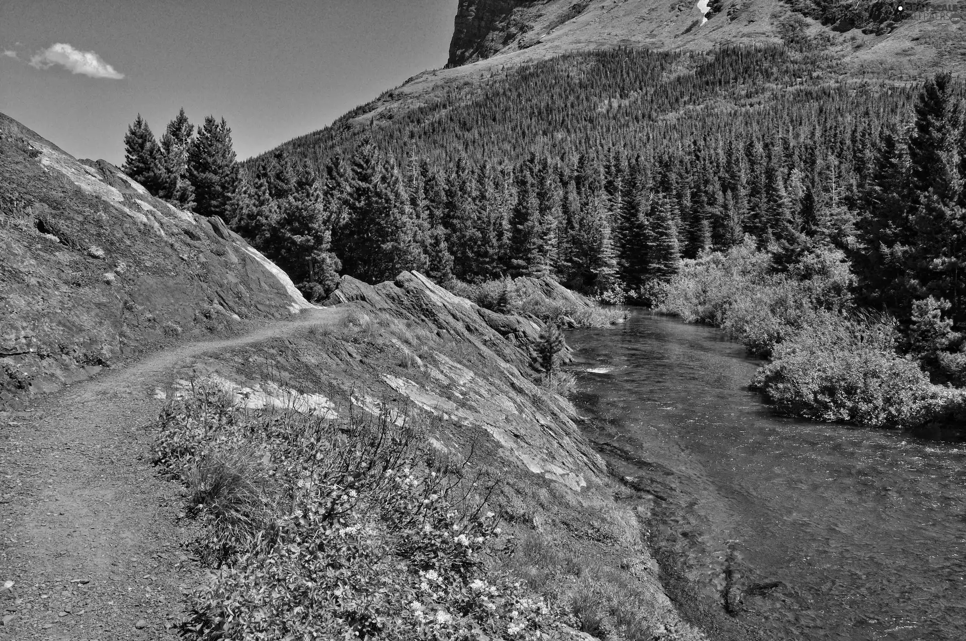 River, Mountains, woods