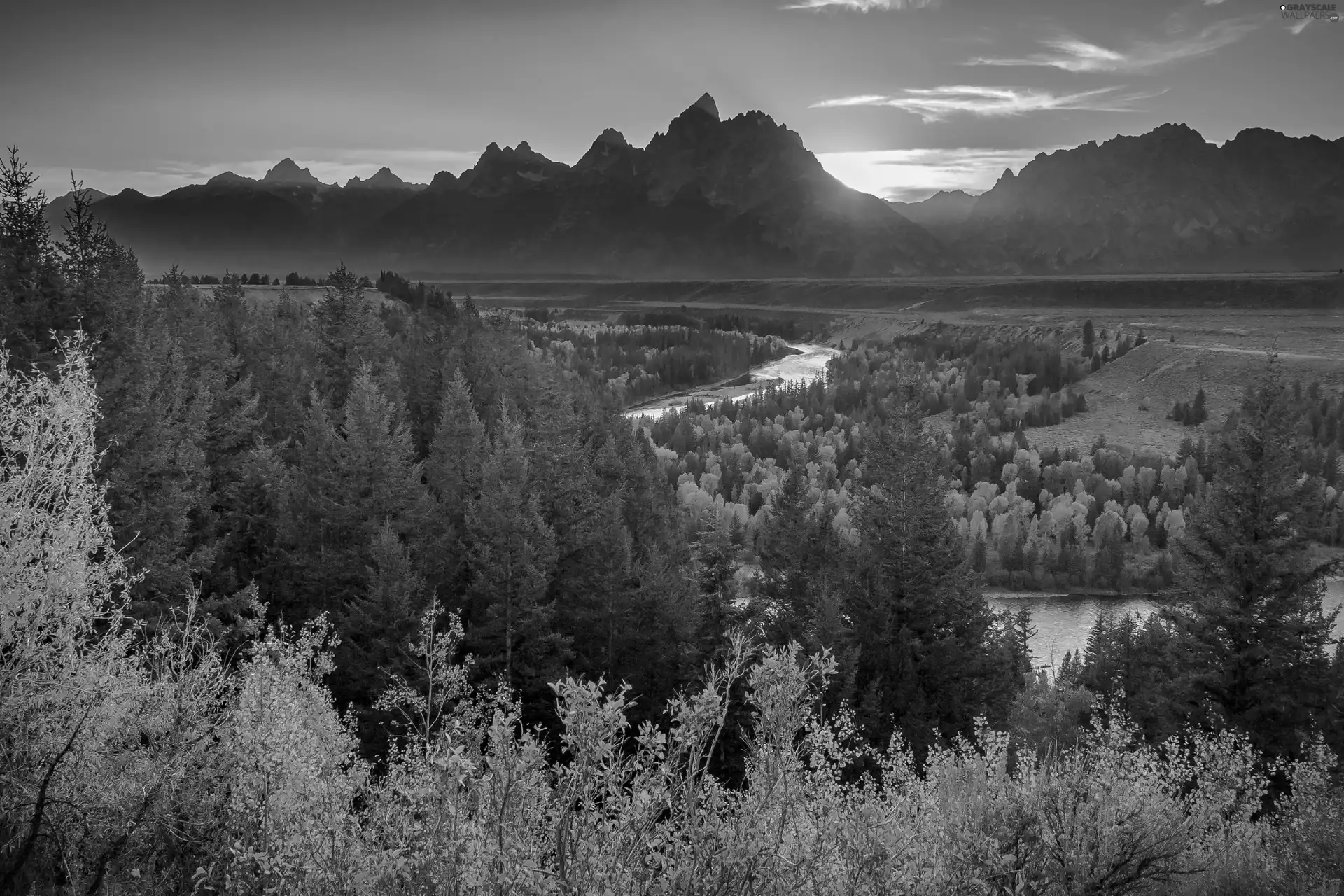 River, woods, sun, Mountains, rays