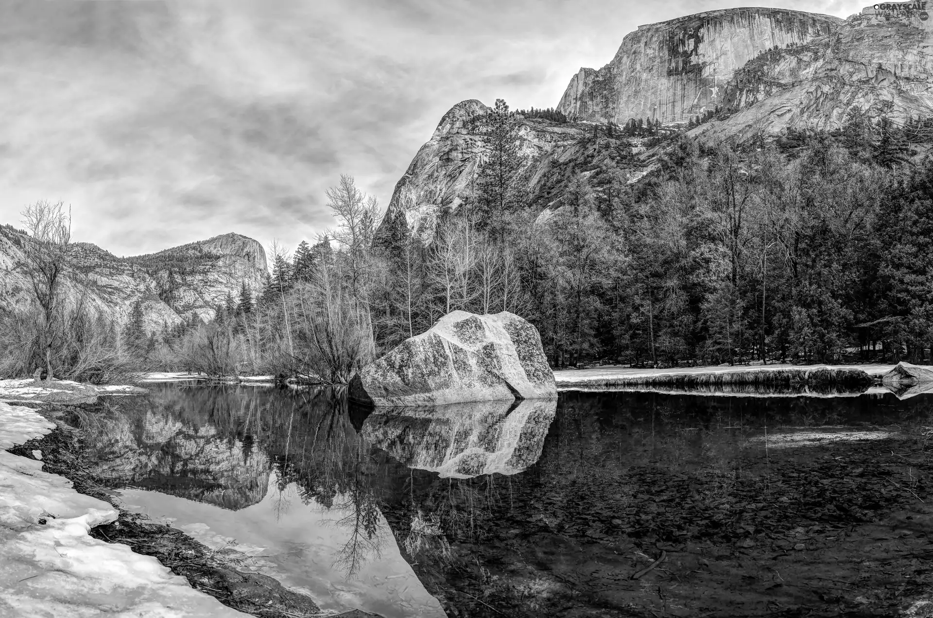 Yosemite National Park, The United States, forest, River, Mountains, State of California