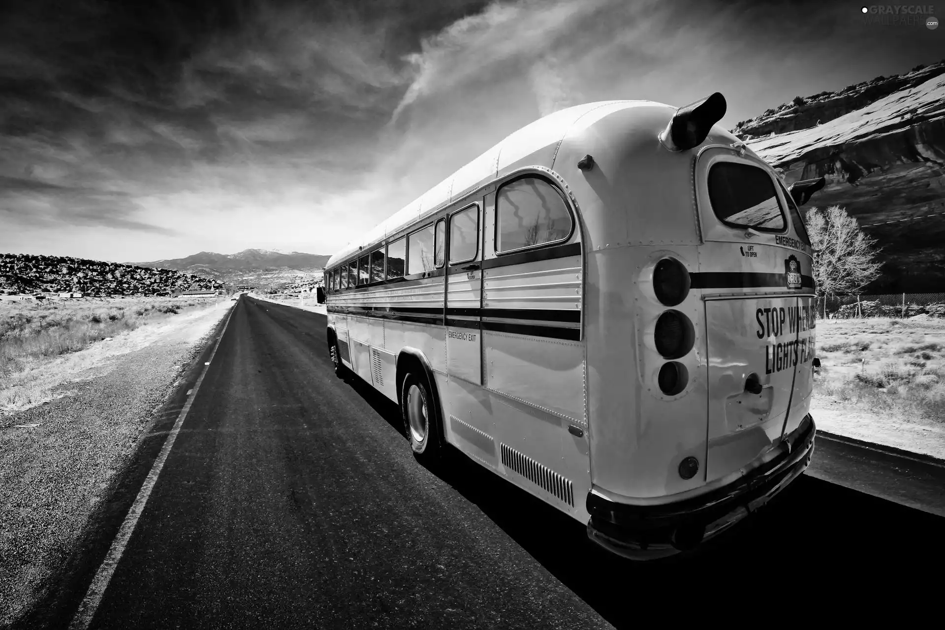 road, Yellow, bus