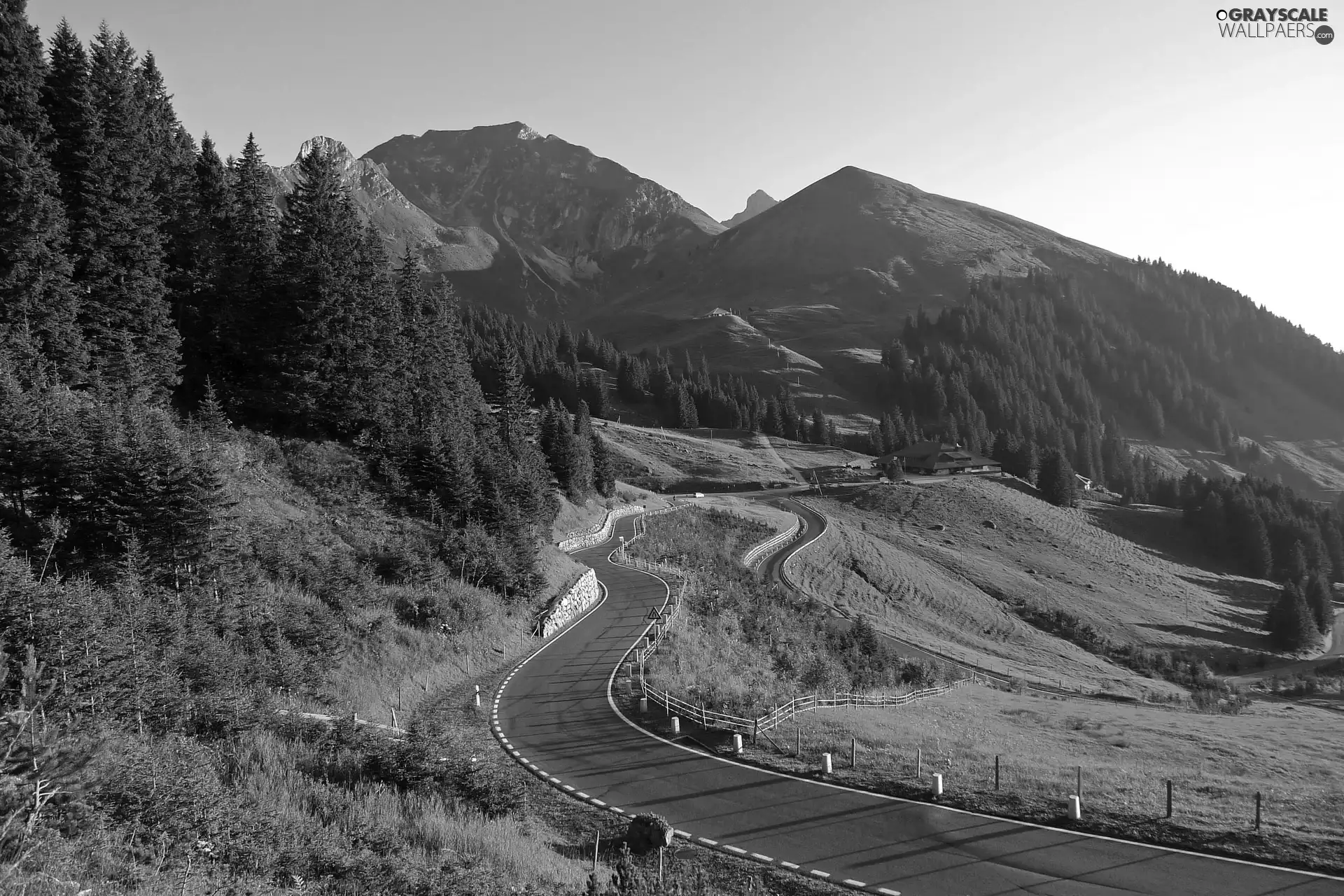 road, forest, Mountains