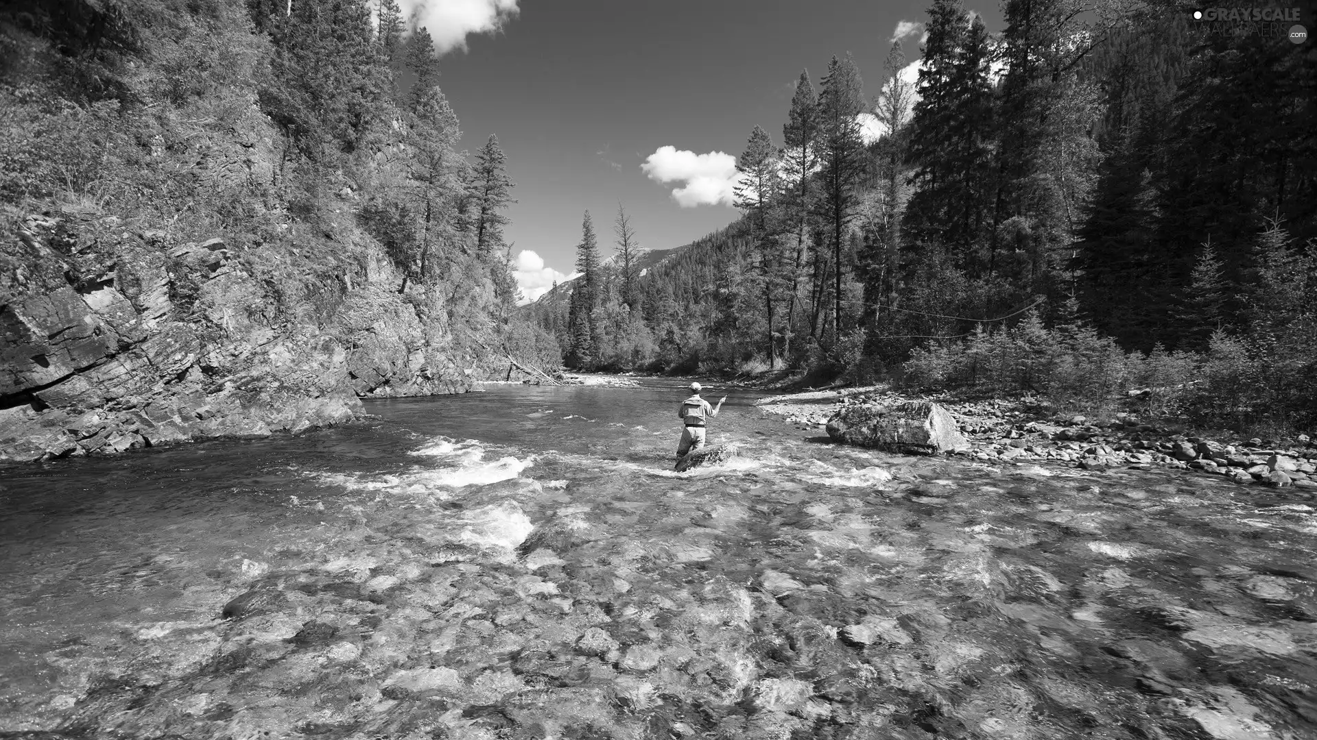 rocks, angler, trees, viewes, River