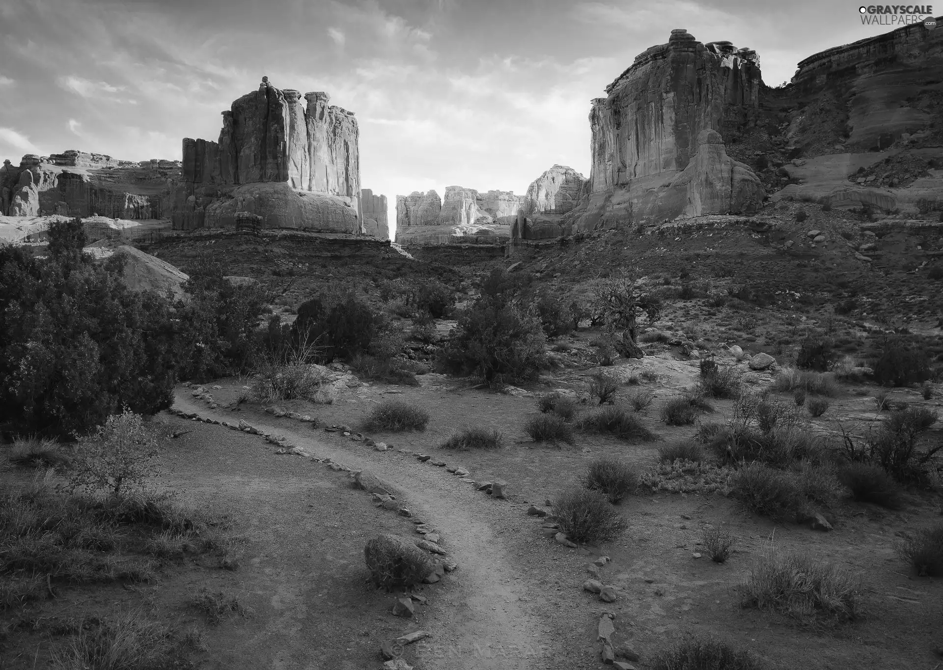 canyon, Plants, Path, rocks