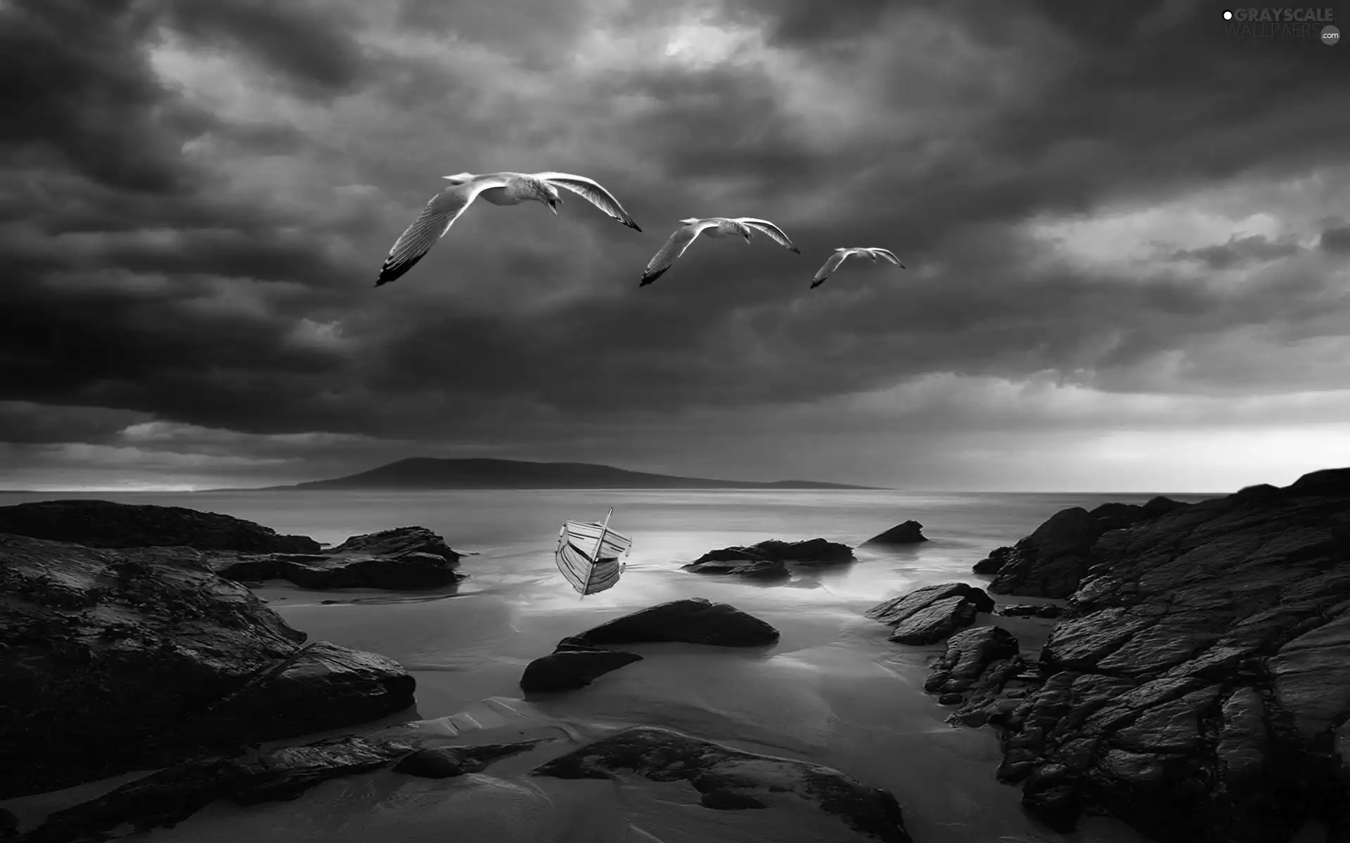 rocks, gulls, Coast