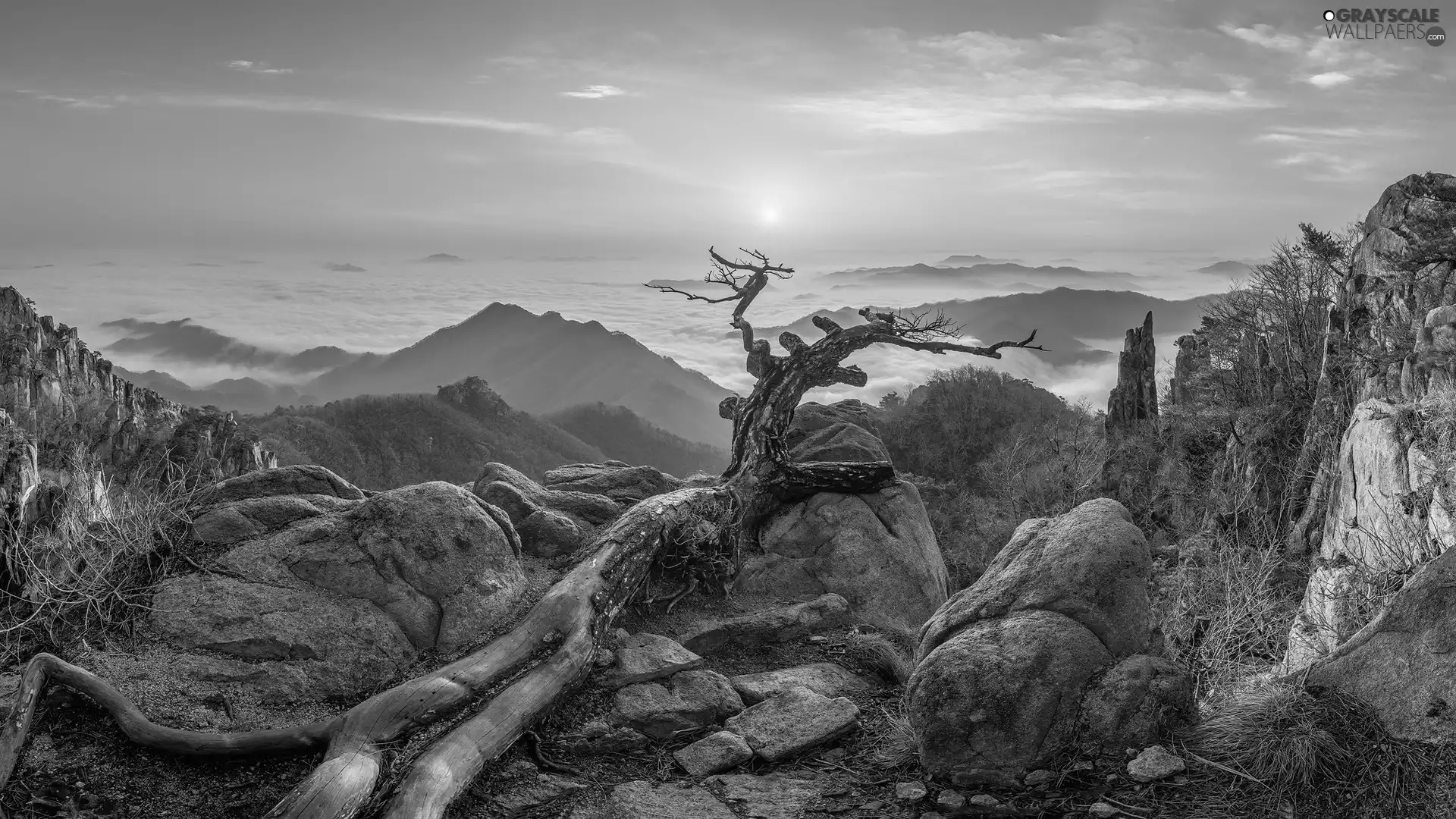 rocks, Mountains, Lod on the beach, Fog, dry, Sunrise