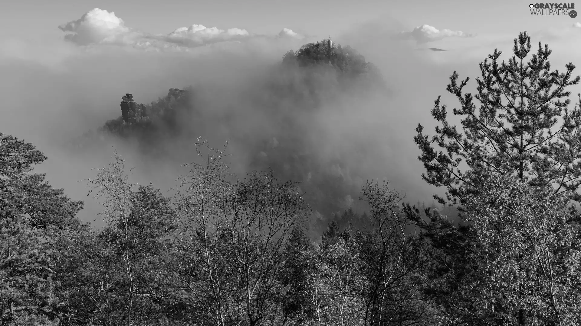 viewes, Rocks, Fog, trees, Mountains