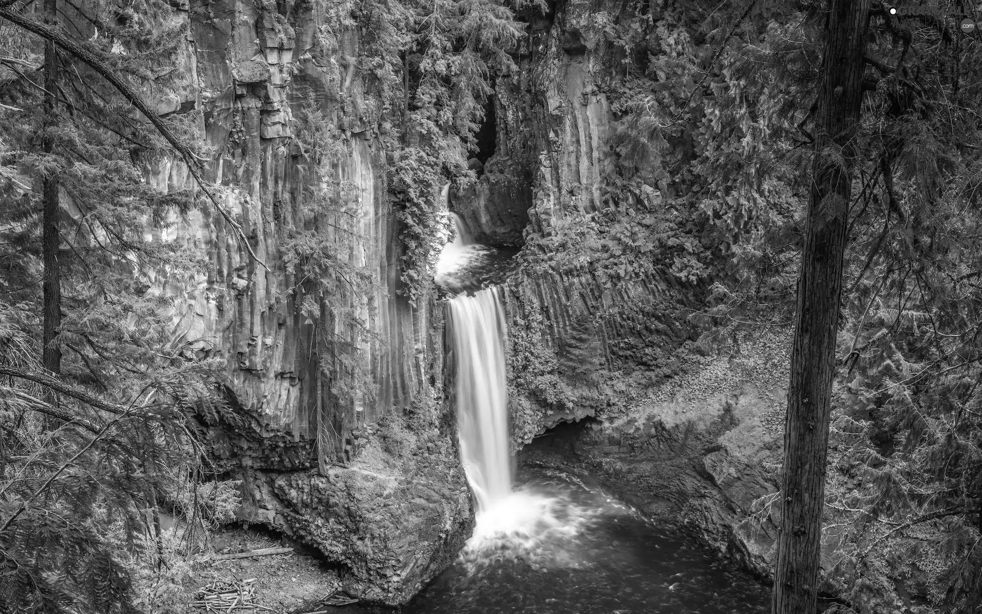 Toketee Waterfall, green ones, viewes, Oregon, Plants, forest, trees, The United States, Crater Lake National Park, rocks