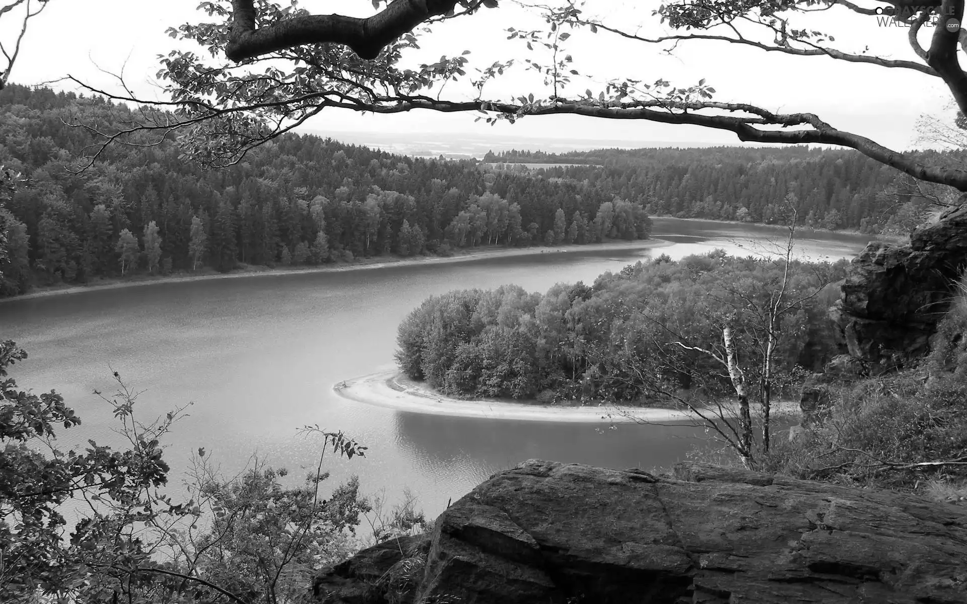 rocks, River, forest