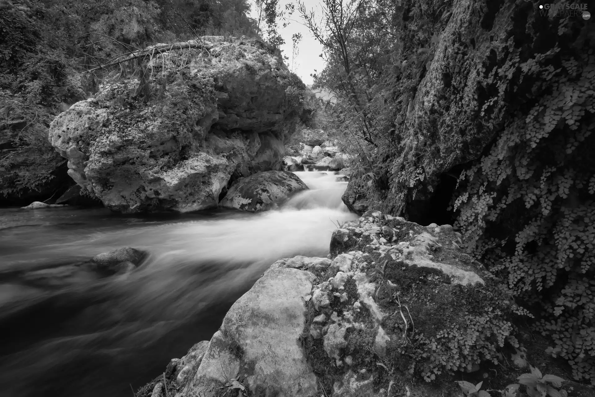 Stones, River, viewes, rocks, trees, forest