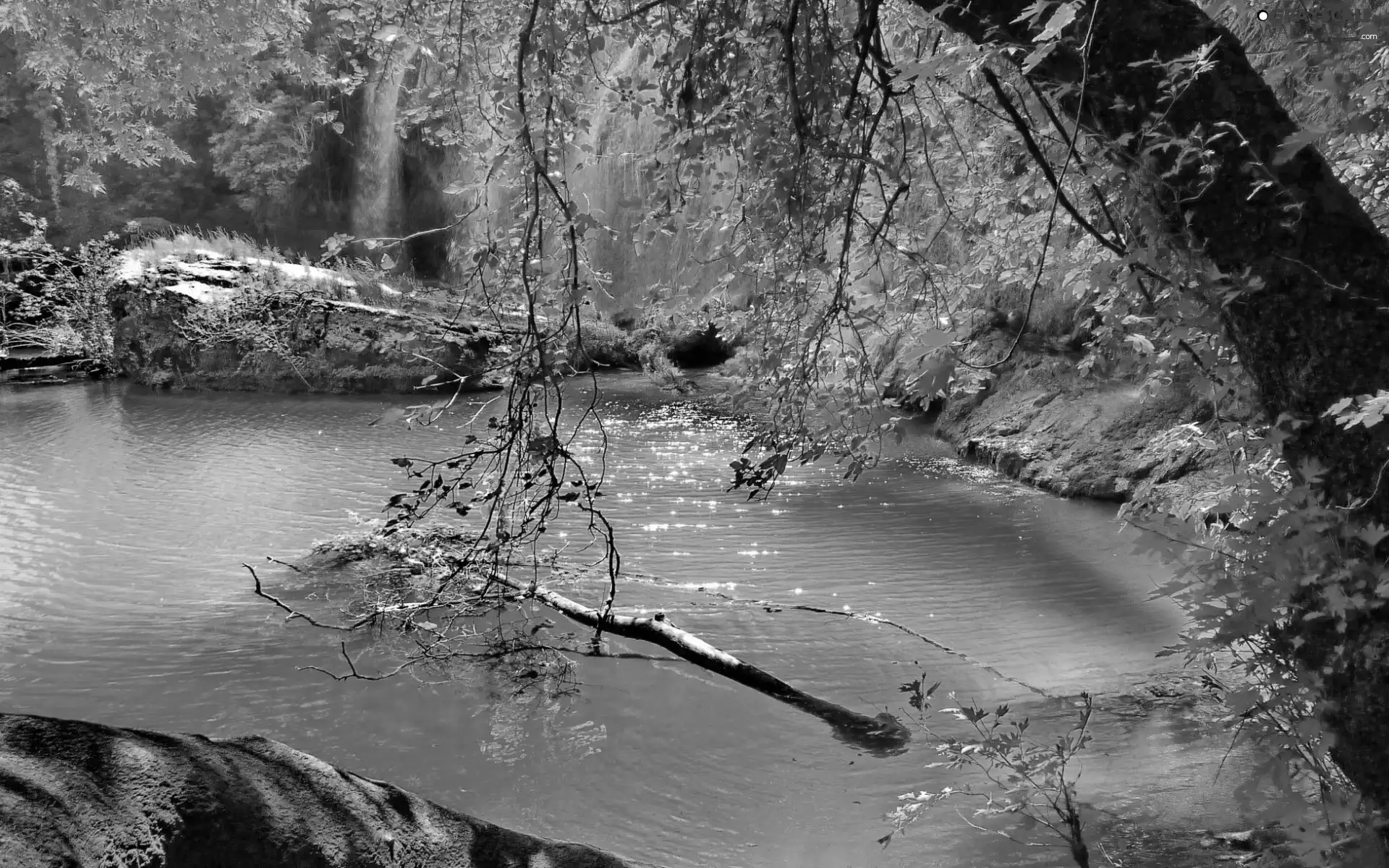 rocks, waterfall, forest