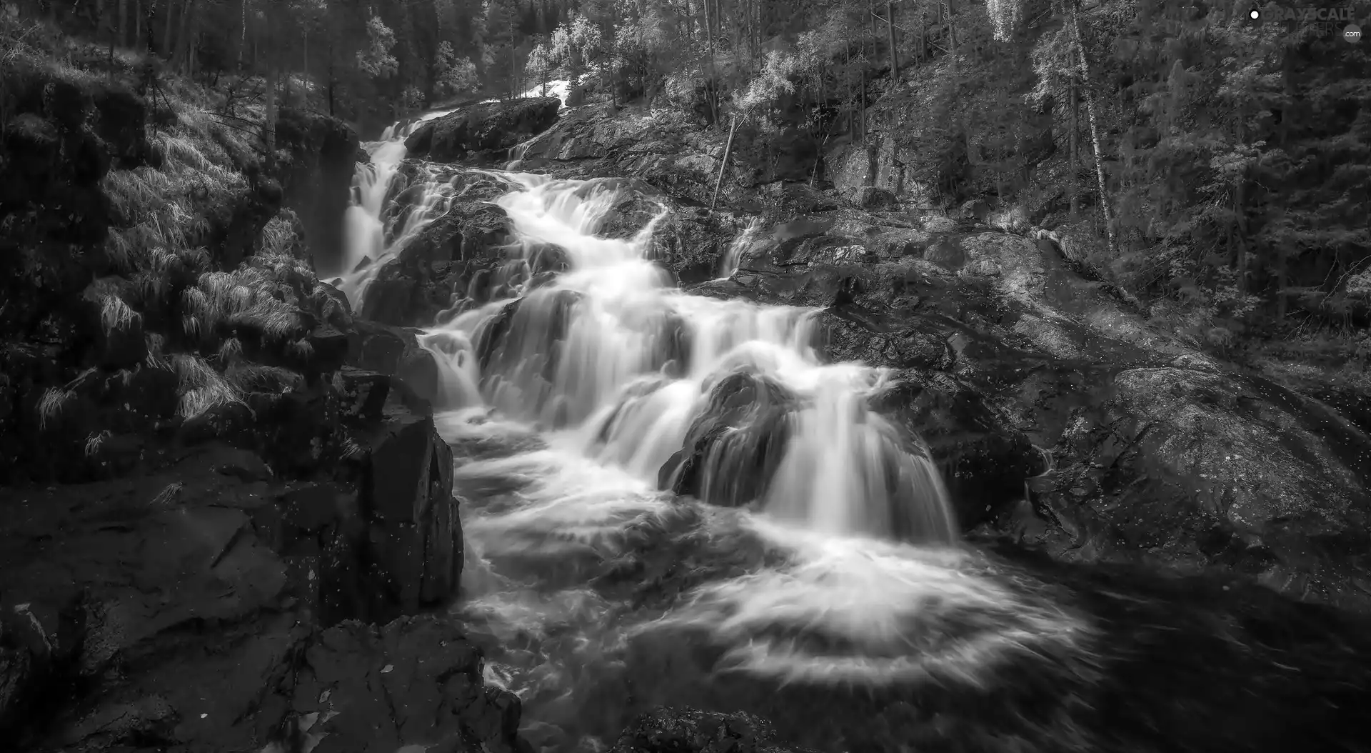 rocks, waterfall, forest