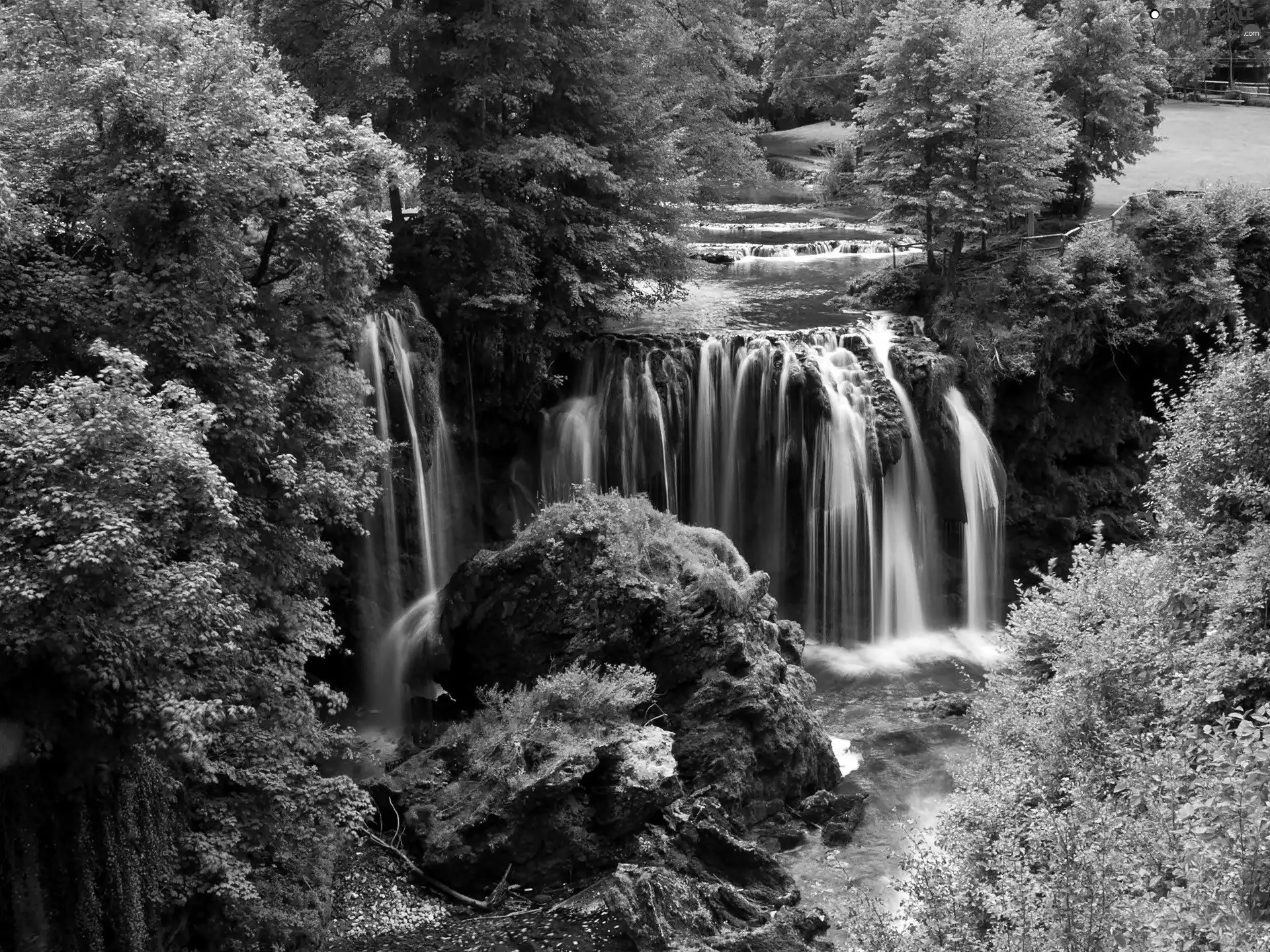 forest, waterfall, rocks, River