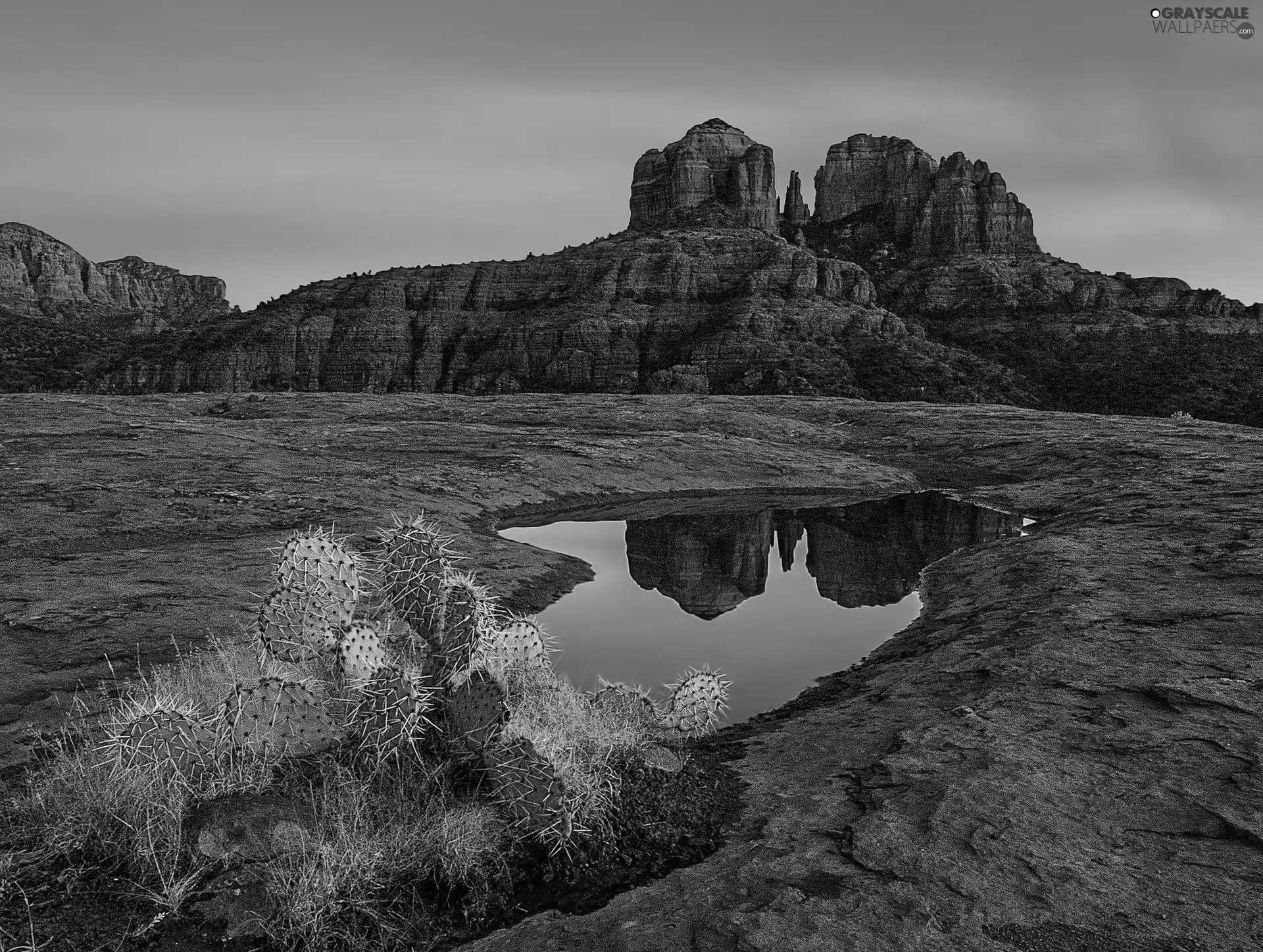 rocks, Cactus, lake