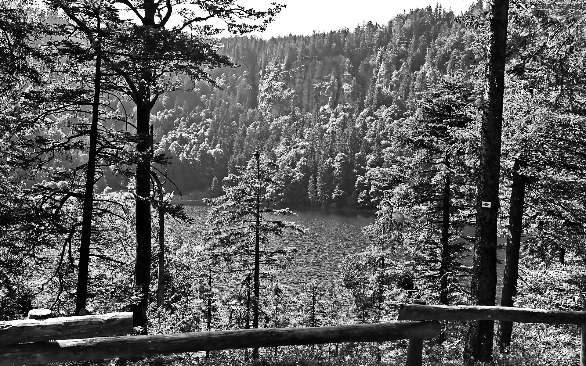 rocks, forest, lake