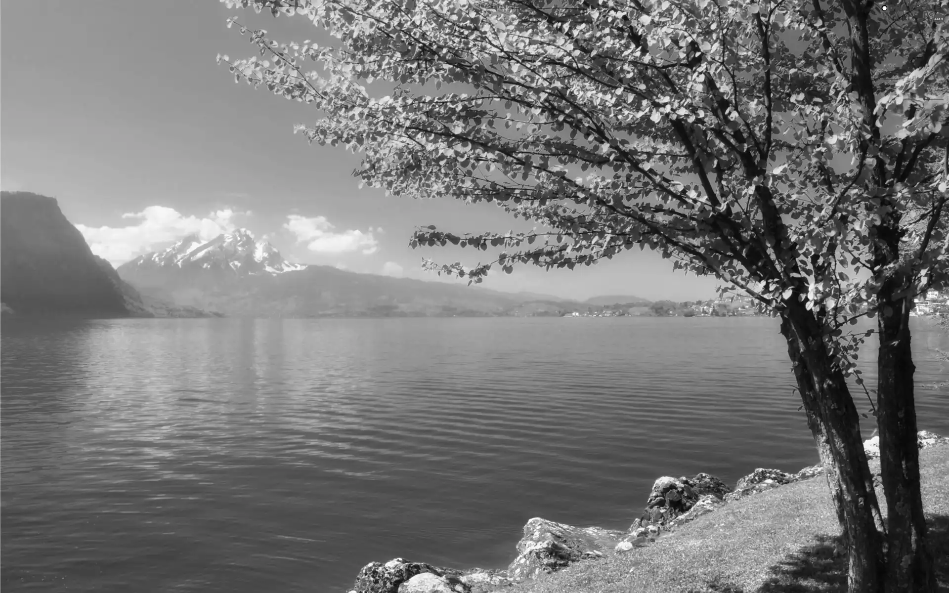 lake, trees, rocks, Mountains