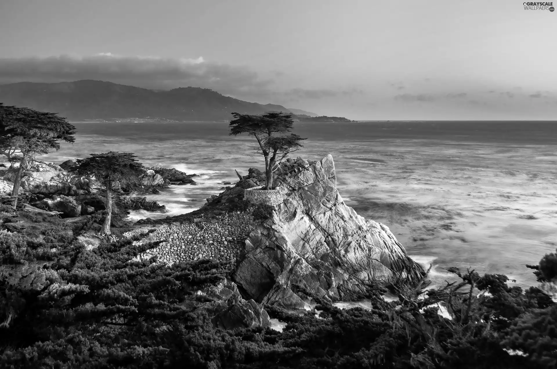 Coast, sea, rocks, pine, flash, luminosity, ligh, sun, Przebijające