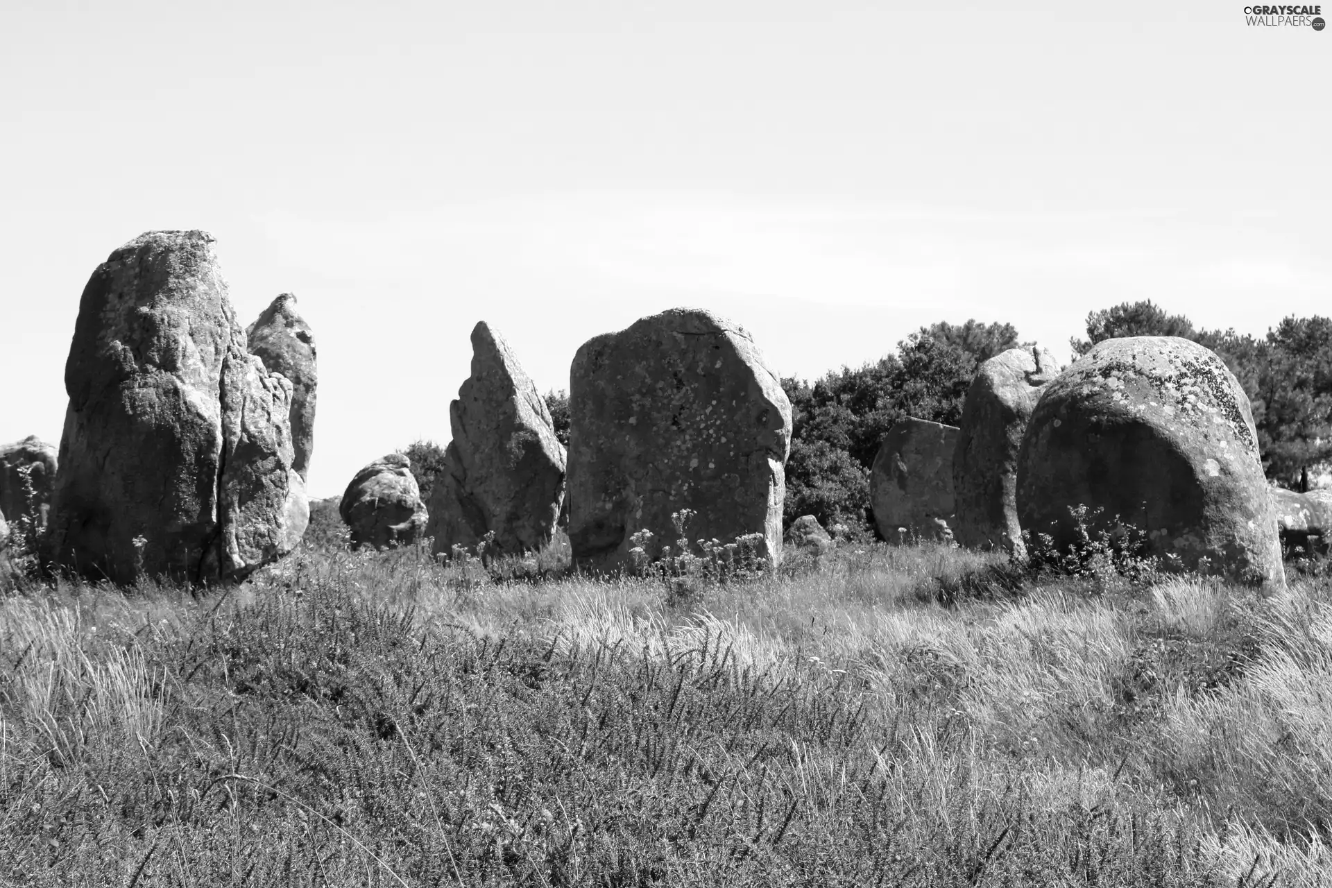 rocks, summer, Meadow